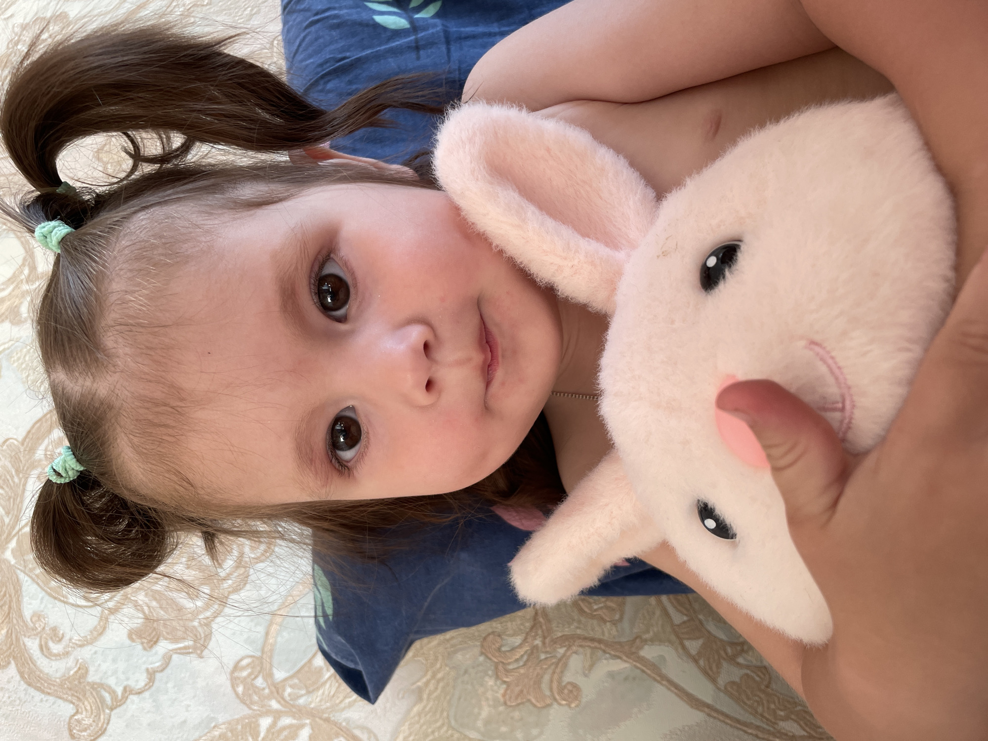 A young girl with brown eyes and pigtails secured with light green hair ties is holding a pink stuffed bunny. The girl is wearing a blue shirt. The background appears to be a beige patterned surface, likely a bedspread or blanket. The image was taken indoors. There is no verifiable information to indicate that this image was taken in the city of Izhevsk, Russia.