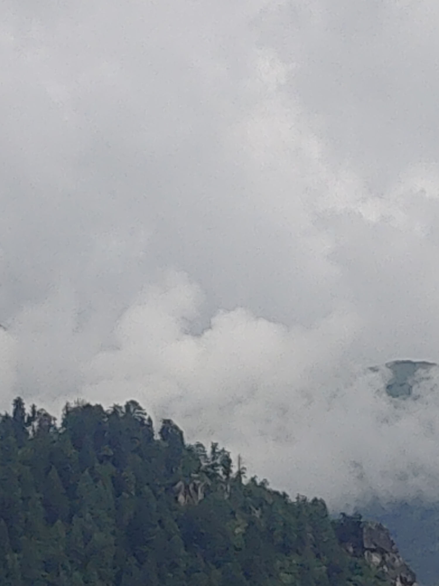 The image depicts a cloudy sky over a forested mountain slope. The trees are dense and green, covering the steep terrain. Rocky outcrops are visible on the mountainside, and the clouds are thick and grey, suggesting overcast weather. The scene is devoid of any human presence or urban elements, indicating a natural, remote environment. The location is the mountainous region surrounding Manali, India, known for its picturesque natural beauty and challenging terrain.