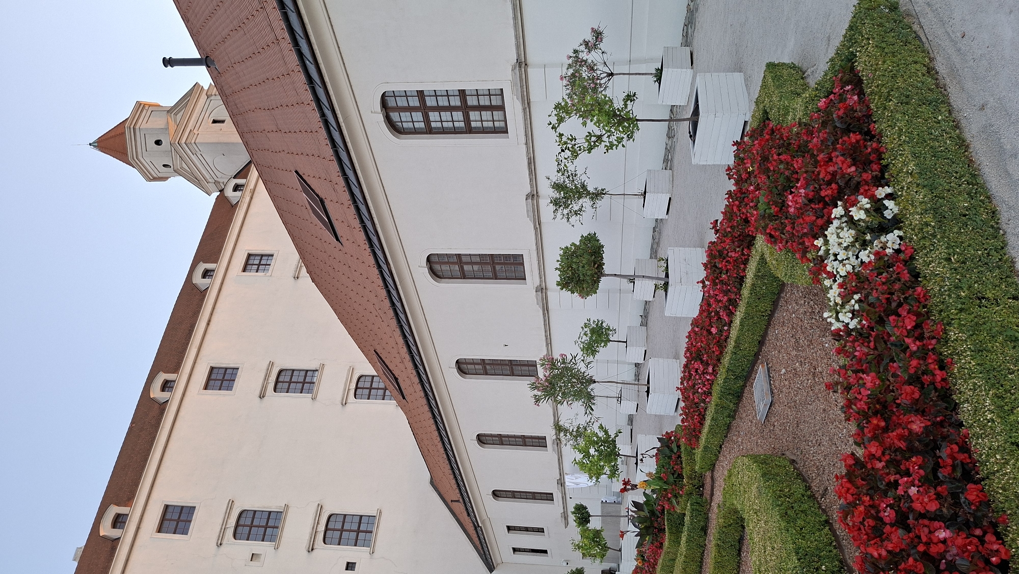 The image depicts Bratislava Castle in Bratislava, Slovakia, captured from the castle gardens. In the foreground, a meticulously maintained garden features neatly trimmed green hedges forming geometric shapes, interspersed with vibrant red and white flowers. A path of gravel leads through the garden. Behind the garden, a long, white building with a red tile roof stretches across the frame, punctuated by evenly spaced arched windows. Further back, a distinctive white tower with a red conical roof rises above the buildings, a prominent architectural feature of the castle. The sky above is clear and light blue, suggesting it is either early morning or late afternoon. There are no people visible in the scene, and the overall atmosphere is tranquil and serene.