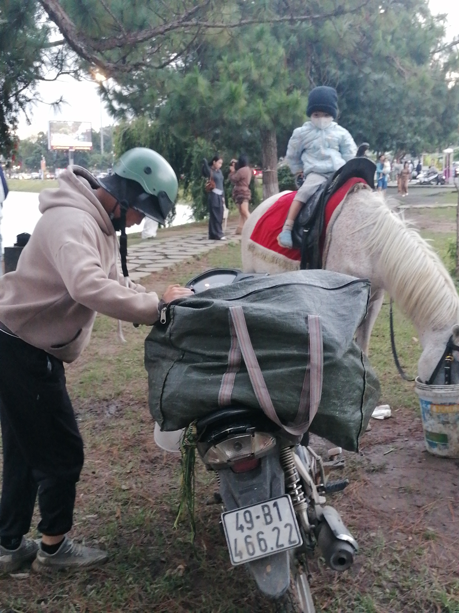 Memory
