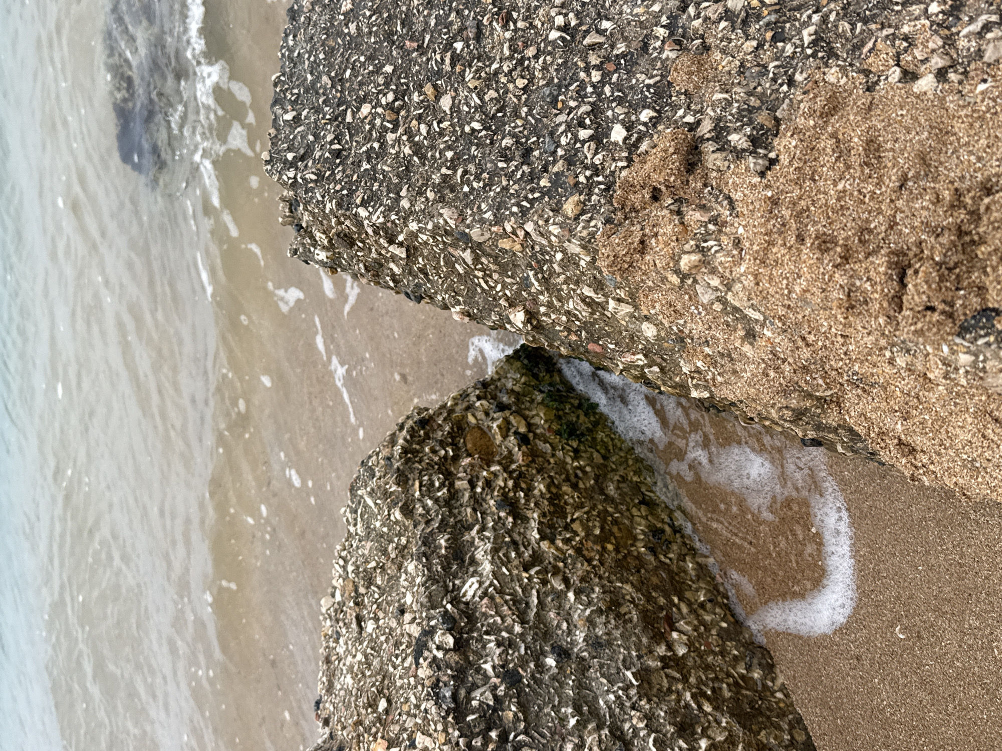 The image depicts a close-up view of two large, rough-textured rocks situated on a sandy shore. These rocks are encrusted with numerous small shells and pebbles, giving them a speckled appearance. The rock on the left has patches of green algae. The rock on the right is partially covered in a mound of coarse, light brown sand. The background shows shallow, calm water with gentle ripples and some foam. The scene is set at the seashore of Kerch, Ukraine.