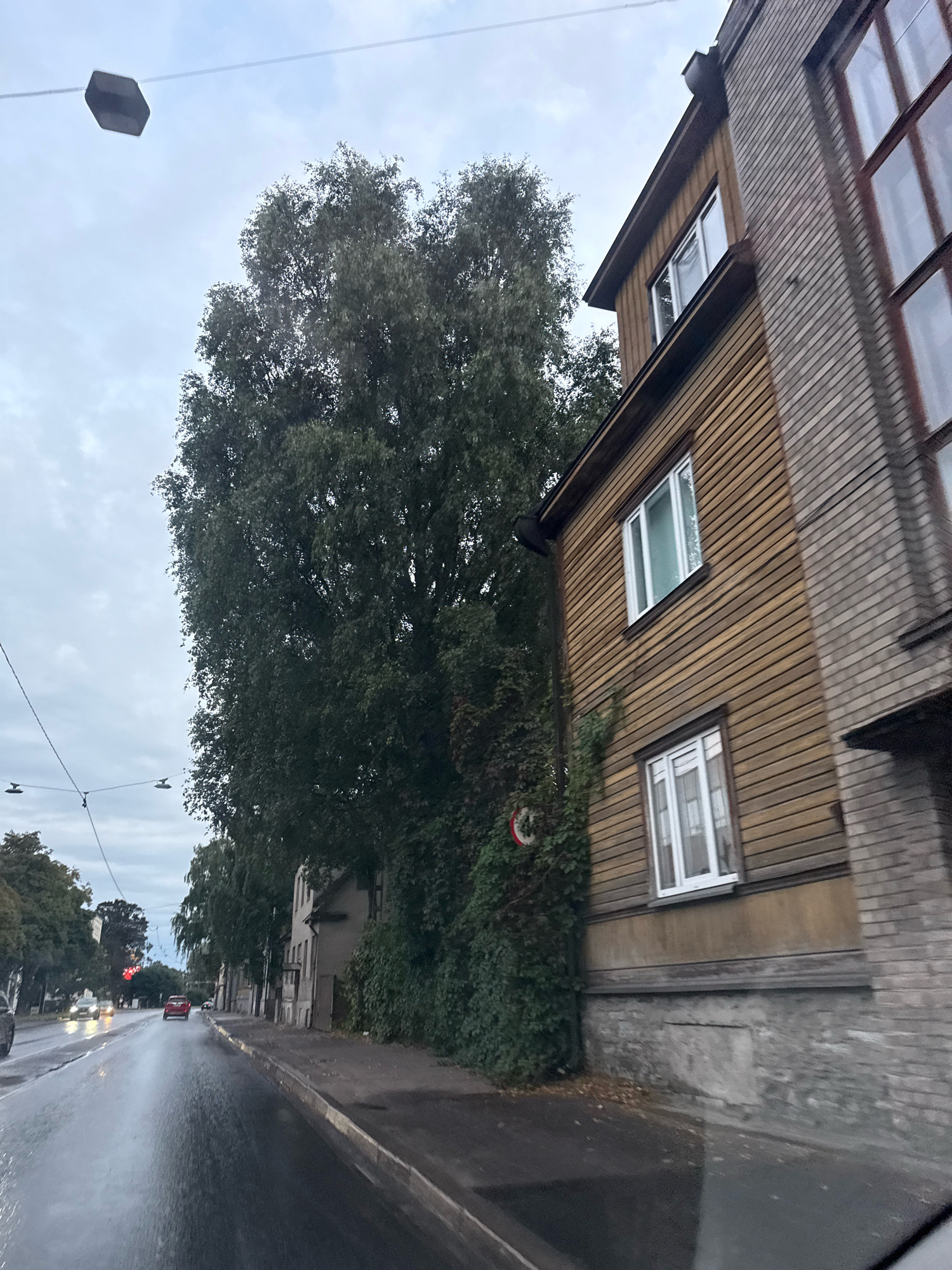 The image depicts a street scene in Tallinn, Estonia, likely in the evening or on an overcast day. The perspective is from a moving vehicle, evidenced by the motion blur on the wet road and the angled view.
On the right side of the image, a two-story building dominates the foreground. The upper portion of the building is clad in horizontal wooden planks, painted a warm brown. It features several white-framed windows, one of which is partially obscured by a large, leafy tree. The lower part of this building appears to be constructed of stone or concrete. Adjacent to this wooden structure, on its right, is a section of a building with brickwork.
A large, mature tree with dense, dark green foliage stands prominently to the left of the wooden building, partially obscuring it. The tree extends upwards towards a grey, cloudy sky. Hanging from wires above the street are several dark, geometric light fixtures.
The street itself is wet and reflective, indicating recent rain. There are vehicles on the road in the distance, including a red car and several cars with their headlights on, suggesting low visibility. A traffic light with a red signal is visible in the distance. The left side of the street shows a row of trees and buildings receding into the background, some of which appear older and less maintained than the building in the foreground. The overall impression is a somewhat moody, urban streetscape under inclement weather.