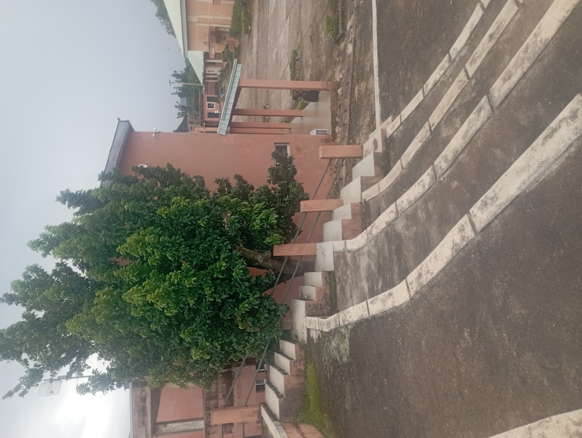 The image depicts an outdoor scene, likely on the grounds of an institution, possibly in Jos, Nigeria, given the architecture and vegetation. The foreground features a series of concrete stairs with distinct white edging, leading upwards. These stairs are weathered and show signs of use. The ground around the stairs is a dark, paved surface.
To the left and center, a large, mature tree with dense green foliage dominates the scene, its trunk visible behind the stairs. Behind the tree, a salmon-colored building with a flat roof is visible. A portion of this building's exterior wall, along with a small window, can be seen. Adjacent to this building, a covered walkway with multiple pillars extends outwards. An air conditioning unit is mounted on the wall beneath this walkway.
In the background, other buildings are visible, characterized by similar salmon-colored exteriors and light-colored roofs. One building in the middle ground has a red-tiled roof and appears to be a smaller structure. The overall environment suggests a campus or institutional setting. The sky is overcast and a light gray, indicating a cloudy day. No people are visible in the image.