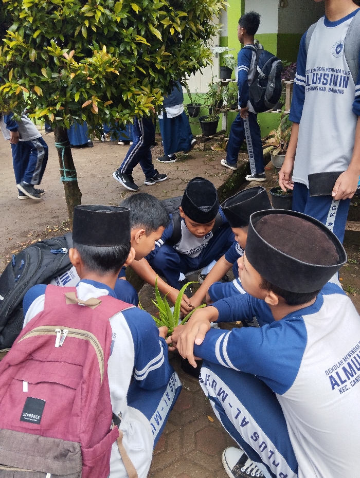 Memory