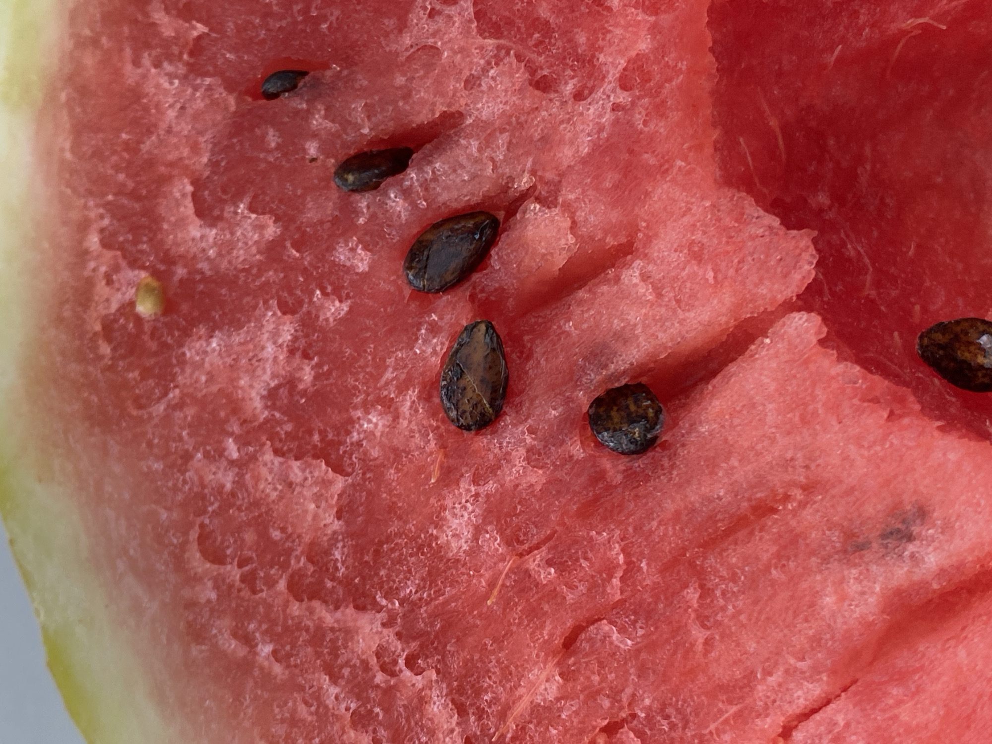 A close-up, high-angle, macro shot focuses on the juicy, pink flesh of a sliced watermelon. Several dark, oval watermelon seeds are embedded in the flesh, some appearing to be partially submerged. The texture of the watermelon is rough and fibrous. The rind, a pale yellow-green, is visible at the top left of the frame. The image was taken in Krasnodar, Russia.