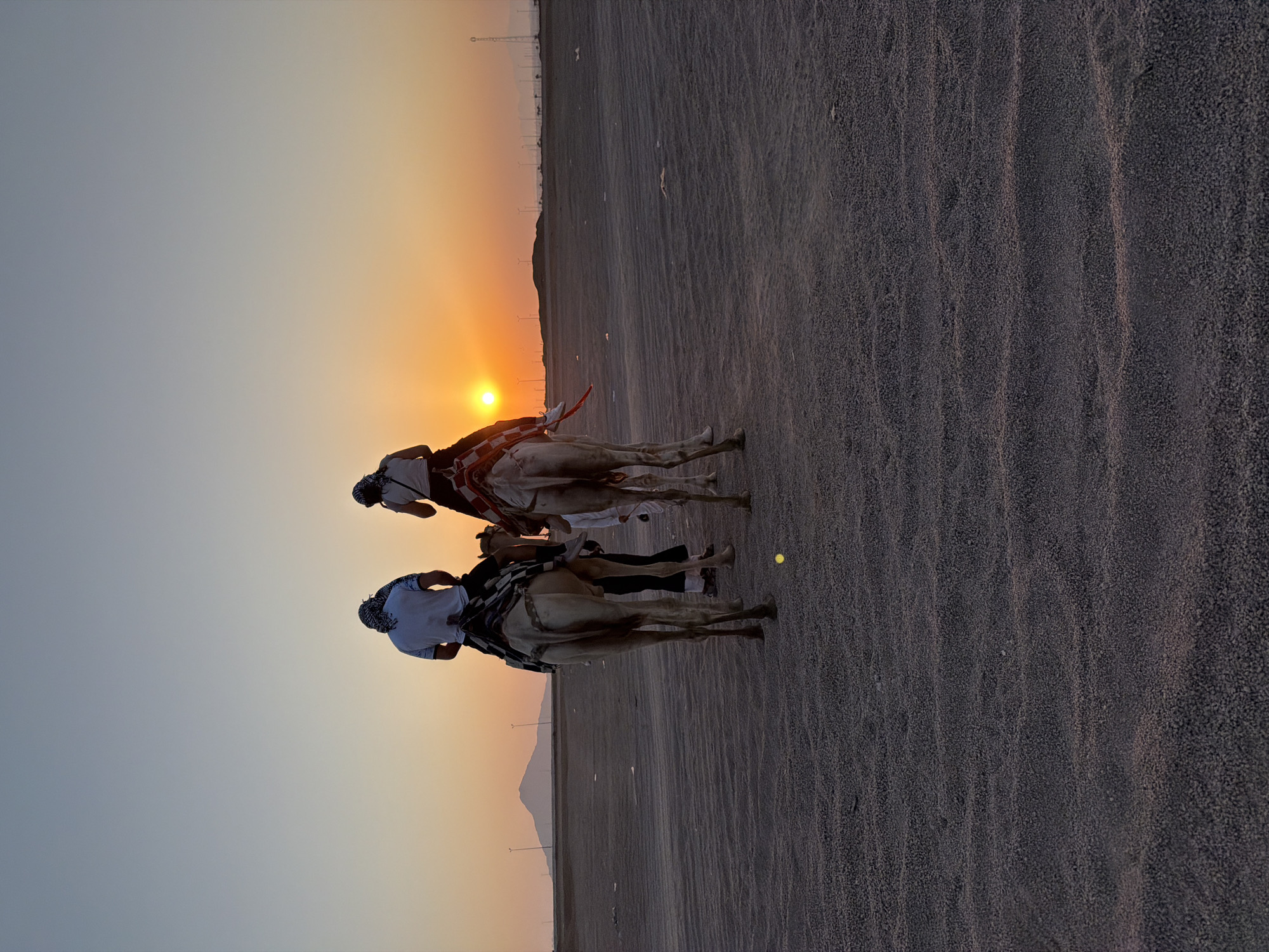 Two individuals are riding camels in a desert landscape at sunset, with the sun low on the horizon casting an orange glow. The camels are positioned facing away from the viewer, with one rider in front and another behind. The ground is composed of dark, gravelly sand, and in the distance, a mountain range is visible under a clear, pale sky. The overall scene suggests a tourist activity, likely a camel ride experience common in desert regions. The location is stated to be Sharm El Sheikh, Egypt.