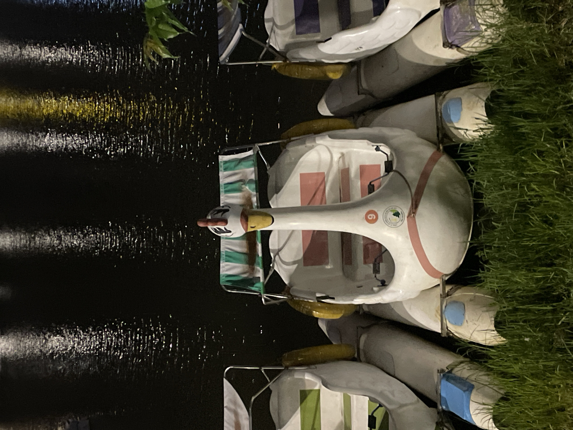 Three swan-shaped pedal boats are docked in the grass at night, with a dark body of water in the background reflecting lights. The central boat, numbered 9, is the most prominent, with its white body, pink trim, and green and white striped canopy. To its left and right are other similar boats, partially obscured, with green and purple accents respectively. The water's surface is rippled, with streaks of light creating a shimmering effect. The scene appears to be a waterfront park or recreational area.