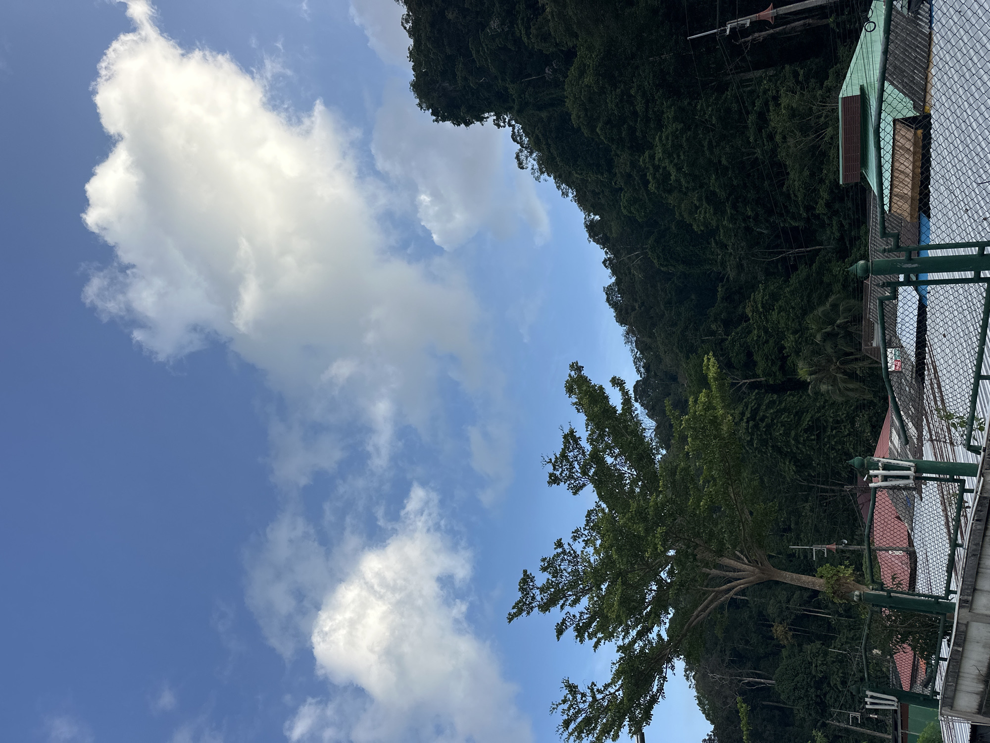 The image depicts a view of Tambon Wang Prachan, Thailand, featuring a lush, green forested hillside on the right and a portion of a single tree on the left. The sky above is a clear blue with scattered white clouds. In the foreground, there are several rooftops of buildings, some with red tiles and others with green roofs, and a green chain-link fence. The overall scene is one of a tropical landscape with human habitation integrated into the natural environment. There are no people visible in the image.