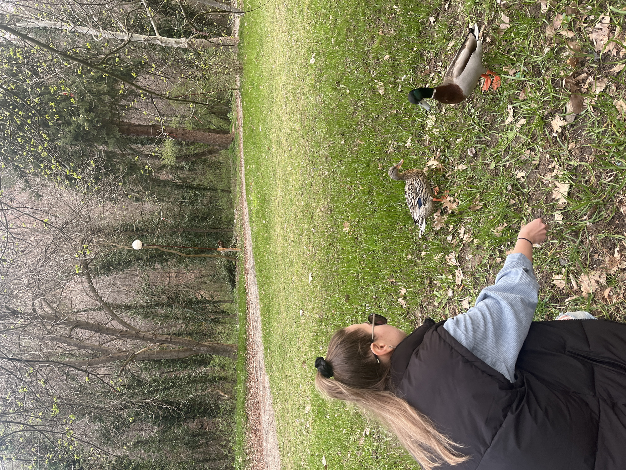A woman lies on the grass in a park setting. The woman has long blonde hair tied back in a ponytail with a black scrunchie. She is wearing sunglasses, a light blue long-sleeved shirt, and a black puffy vest. Two ducks, a male mallard and a female mallard, stand nearby in the grass. The environment includes trees with some bare branches and a grassy area with a path in the background. The location is in the city of Blagoevgrad, Bulgaria.