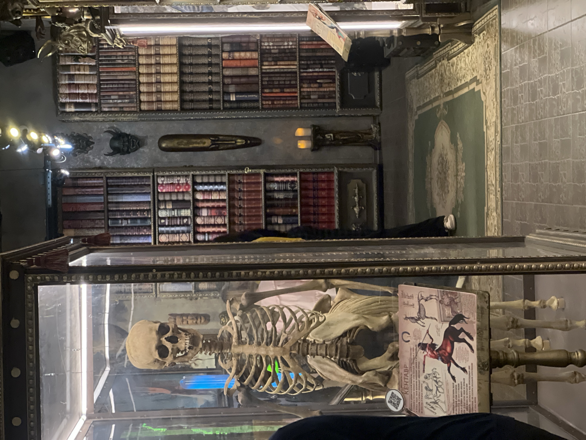 The image shows an indoor scene with a focus on a display case containing a human skeleton and a book featuring a centaur. The background includes shelves filled with books, decorative items, and architectural details suggesting a museum or themed exhibit. The location is potentially in the city of Khimki, Russia, but there are no indicators of a real place.