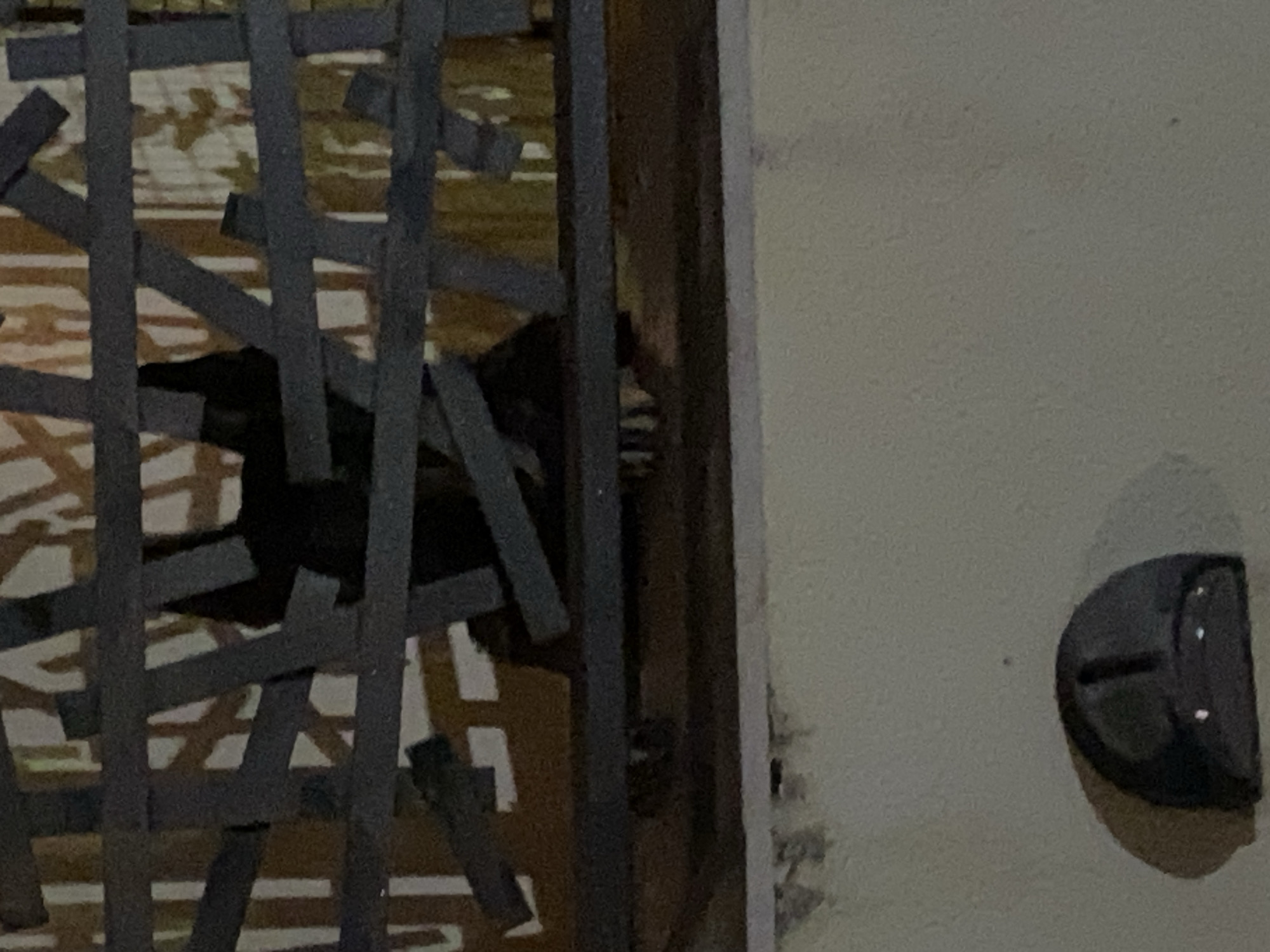 An obscured, dark figure is visible behind a metal gate. The gate is made of haphazardly arranged, rectangular metal bars. The figure is positioned between the gate and a light-colored wall. A dark, semi-circular object is affixed to the wall. The location is assumed to be Budva, Montenegro, though no identifying landmarks are visible in the image.