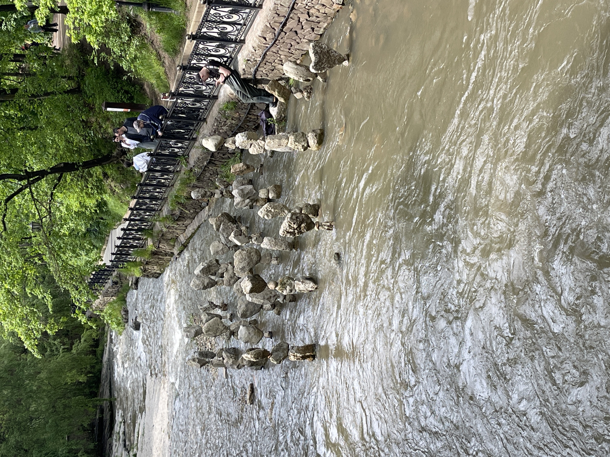 The image depicts a river flowing through a park in Kislovodsk, Russia. The river's flow is obscured by numerous rocks. A decorative stone embankment borders the river's edge with a black, ornate metal railing. Several people stand near the railing, seemingly observing the water. Lush greenery is visible on the riverbank, with trees framing the scene. One person is notably leaning over the railing, possibly interacting with the river or objects within it. The water appears somewhat murky, suggesting a high sediment content.