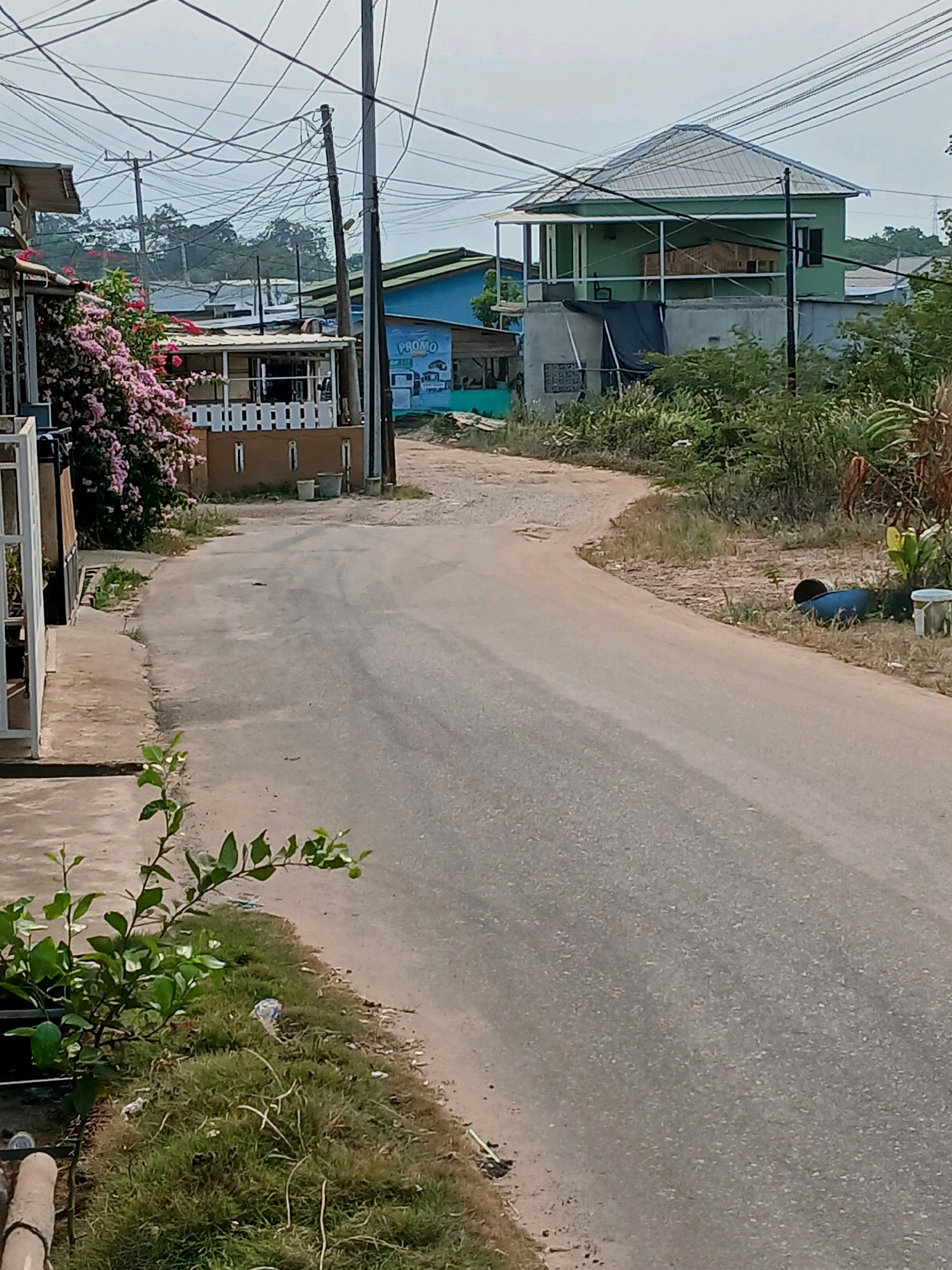 The image depicts a residential street in Pangkalpinang, Indonesia, characterized by a paved road that curves to the right. On the left side of the road, a house with a white fence and blooming pink flowers is visible, with a small plant in the foreground. Across the street, several buildings are present, including a blue building with a sign that reads "PROMO" and a two-story green house with a metal roof. Utility poles and overhead wires are prominent throughout the scene. The environment is somewhat overgrown with vegetation and shows signs of development, with a mix of houses and an unpaved area to the right of the road where a blue barrel and a white container are placed. The sky is overcast.