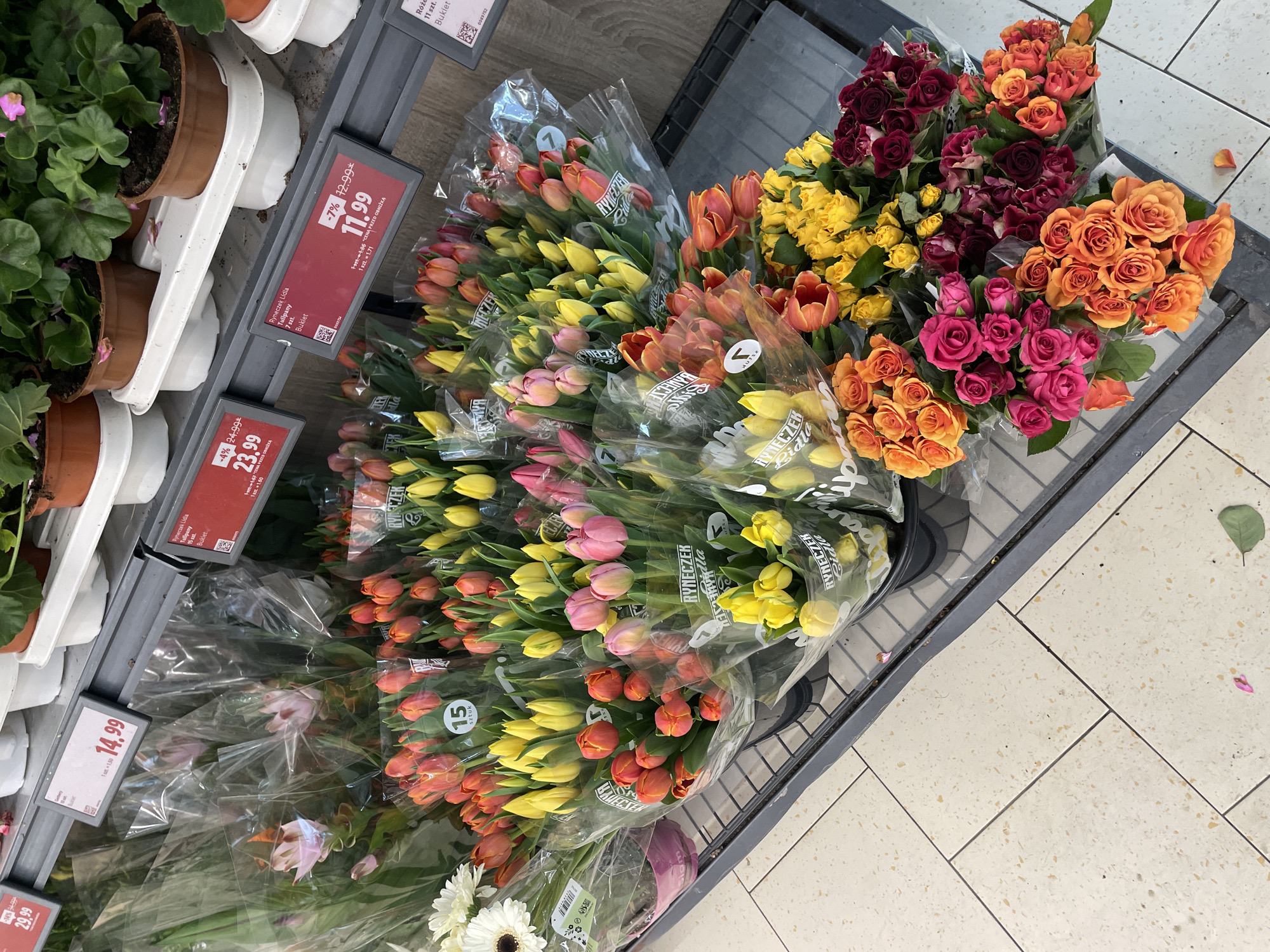 This image shows a retail display of flower bouquets and potted plants. The location is a supermarket, indicated by the tiled floor and shelving. The flower bouquets, wrapped in clear plastic, consist of tulips in yellow, orange, and pink, and roses in shades of red, orange, yellow, and pink. Price tags are visible for the bouquets, including 14.99 for a bouquet of 15 tulips, 11.99 for a bouquet of 7 tulips, and 23.99. Potted plants are arranged on the shelves, but their price is not visible.