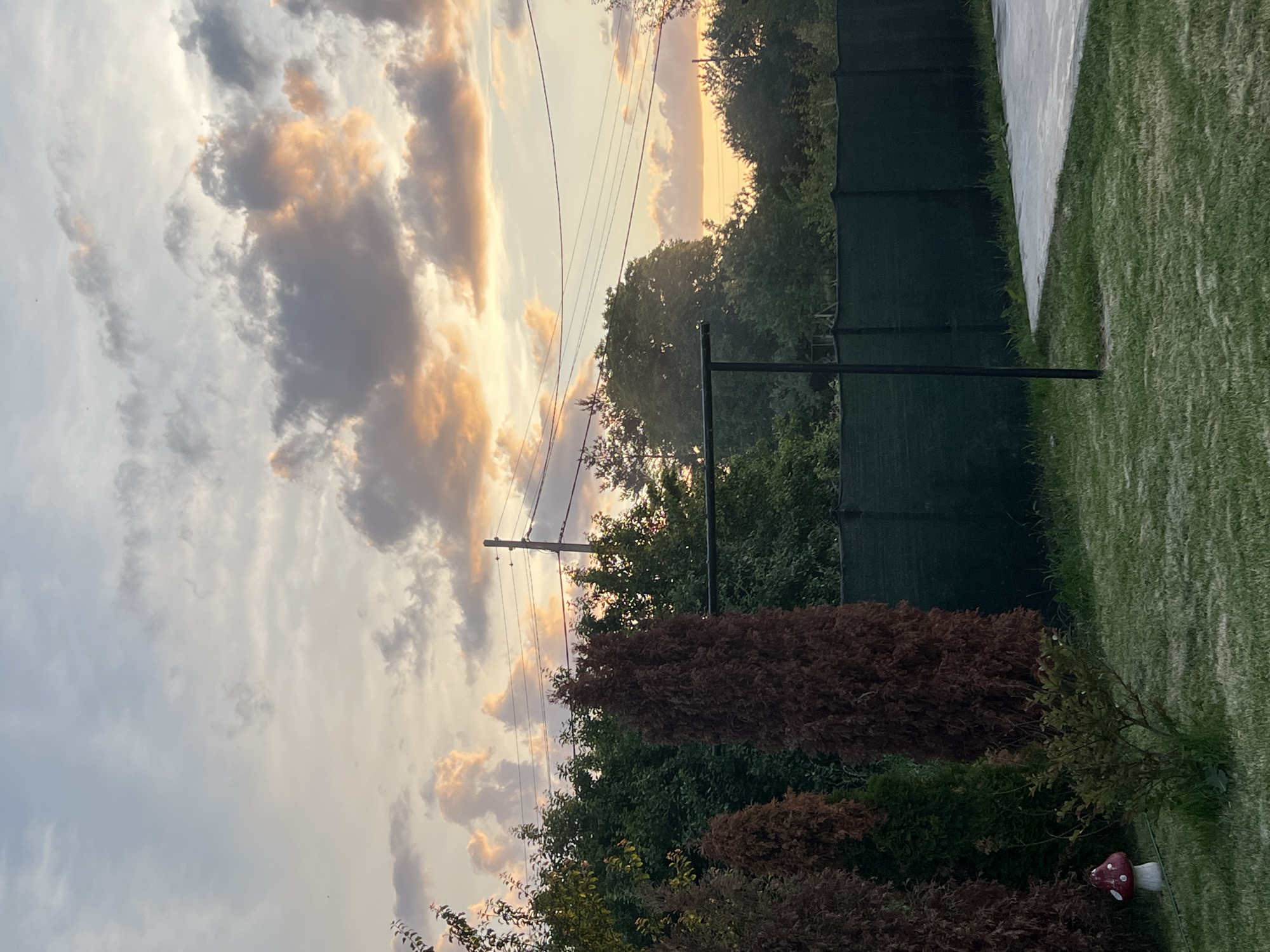 The image depicts a sunset scene in the city of Herakovo, Bulgaria. The sky is filled with a mix of grey and orange clouds, with the sun setting behind the trees. In the foreground, there is a well-maintained lawn with a small mushroom decoration. Several evergreen trees, some a reddish-brown color and others green, are positioned in the middle ground. A dark green fence runs horizontally across the image, behind which are more trees. Power lines and a utility pole are visible against the sky. A concrete paved area is also present on the right side of the frame. No people or animals are visible in the image.