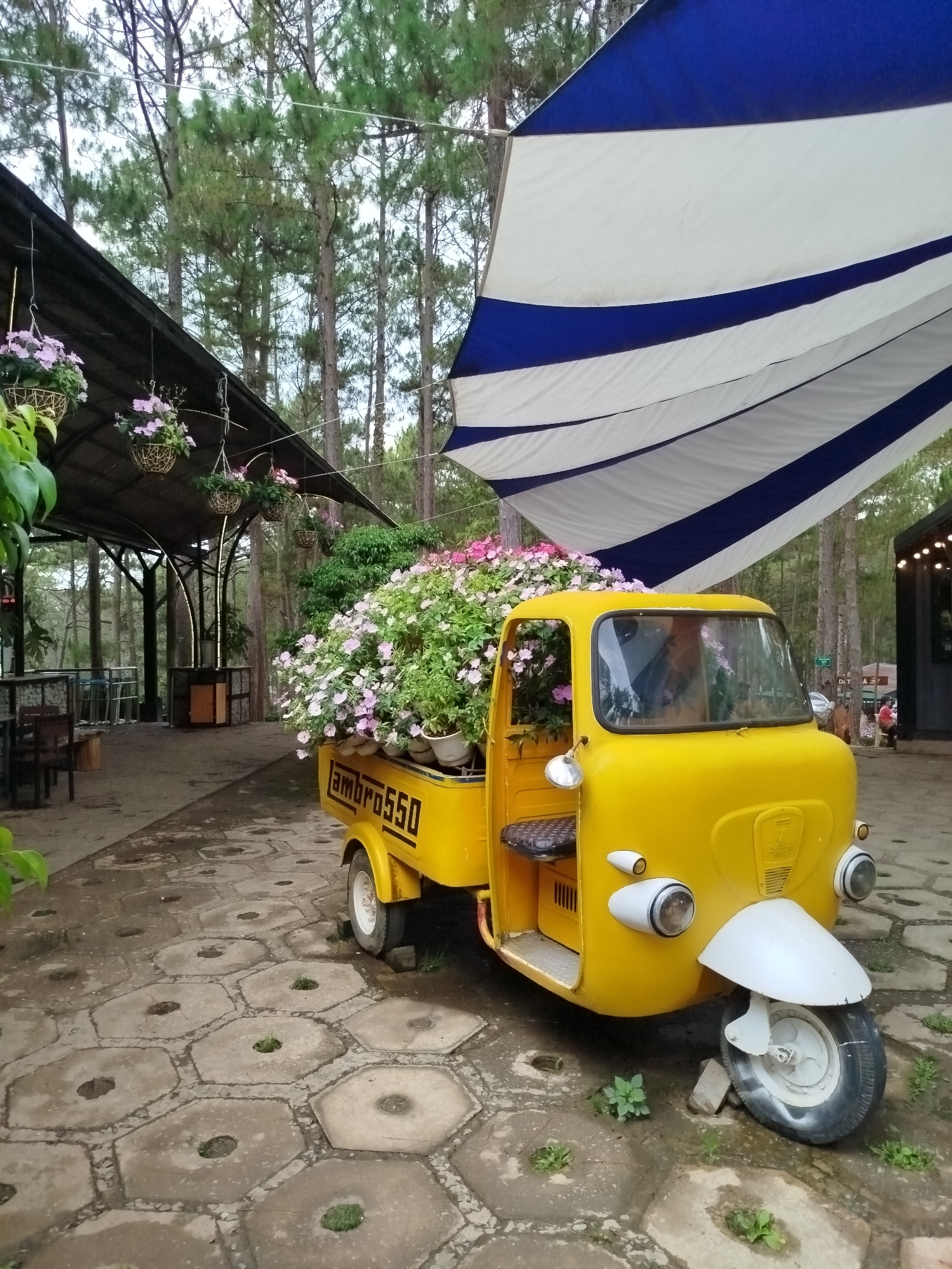 The image depicts a yellow Lambro 550 three-wheeled vehicle, its bed overflowing with potted flowering plants. The vehicle is parked on a hexagonal stone-paved area, with vegetation growing between the stones. Behind the vehicle is a covered outdoor seating area with hanging flower baskets and tall pine trees in the background. Above the vehicle is a striped blue and white awning. The scene appears to be in Da Lat, Vietnam, known for its flowers and pine forests. There is no human activity immediately visible.