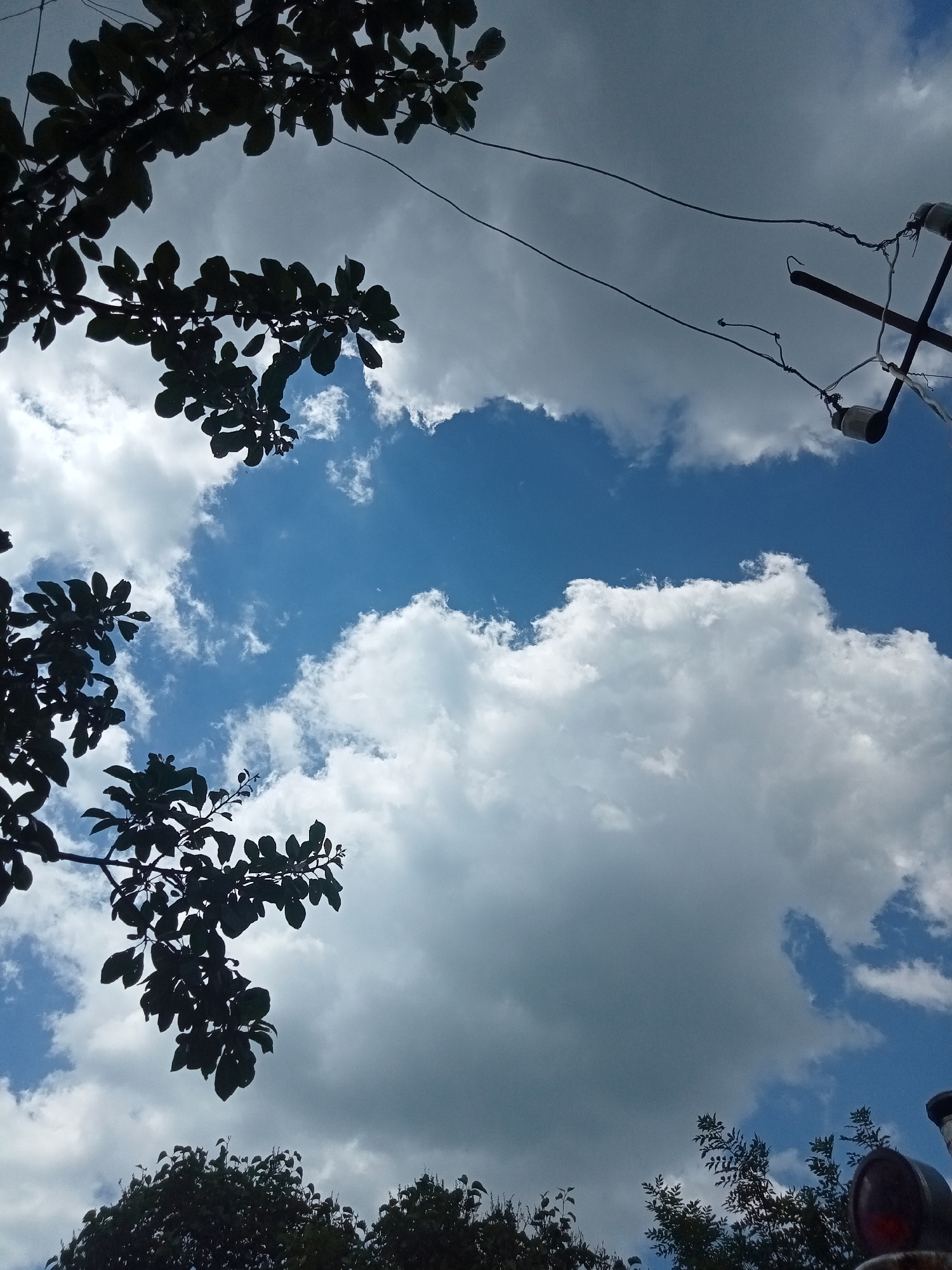 This media file is a vertical, low-angle photograph capturing a bright, cloudy sky with elements of nature and man-made structures. The dominant subjects are the sky, featuring patches of vibrant blue interspersed with large, fluffy white clouds, and the dark silhouettes of tree branches adorned with leaves.
In the upper right portion of the frame, a utility pole with wires and insulators is visible, indicating an outdoor, likely rural or semi-rural setting. The branches in the foreground frame the sky, with some reaching across the top and others hanging down from the left side. The bottom of the image shows the dark silhouettes of more trees, suggesting a canopy of foliage.
The lighting suggests it is daytime, likely late morning or afternoon, given the brightness of the sky and the contrast between the sunlit clouds and the silhouetted leaves. The presence of numerous clouds hints at a dynamic weather system, possibly a partly cloudy or even showery day.
There is no visible text in the image. The overall impression is one of a natural scene juxtaposed with human infrastructure, observed from a low vantage point looking upwards. The mood is serene and airy, dominated by the vastness of the sky and the organic forms of the trees. The location context provided is Stavchyntsi, Ukraine.