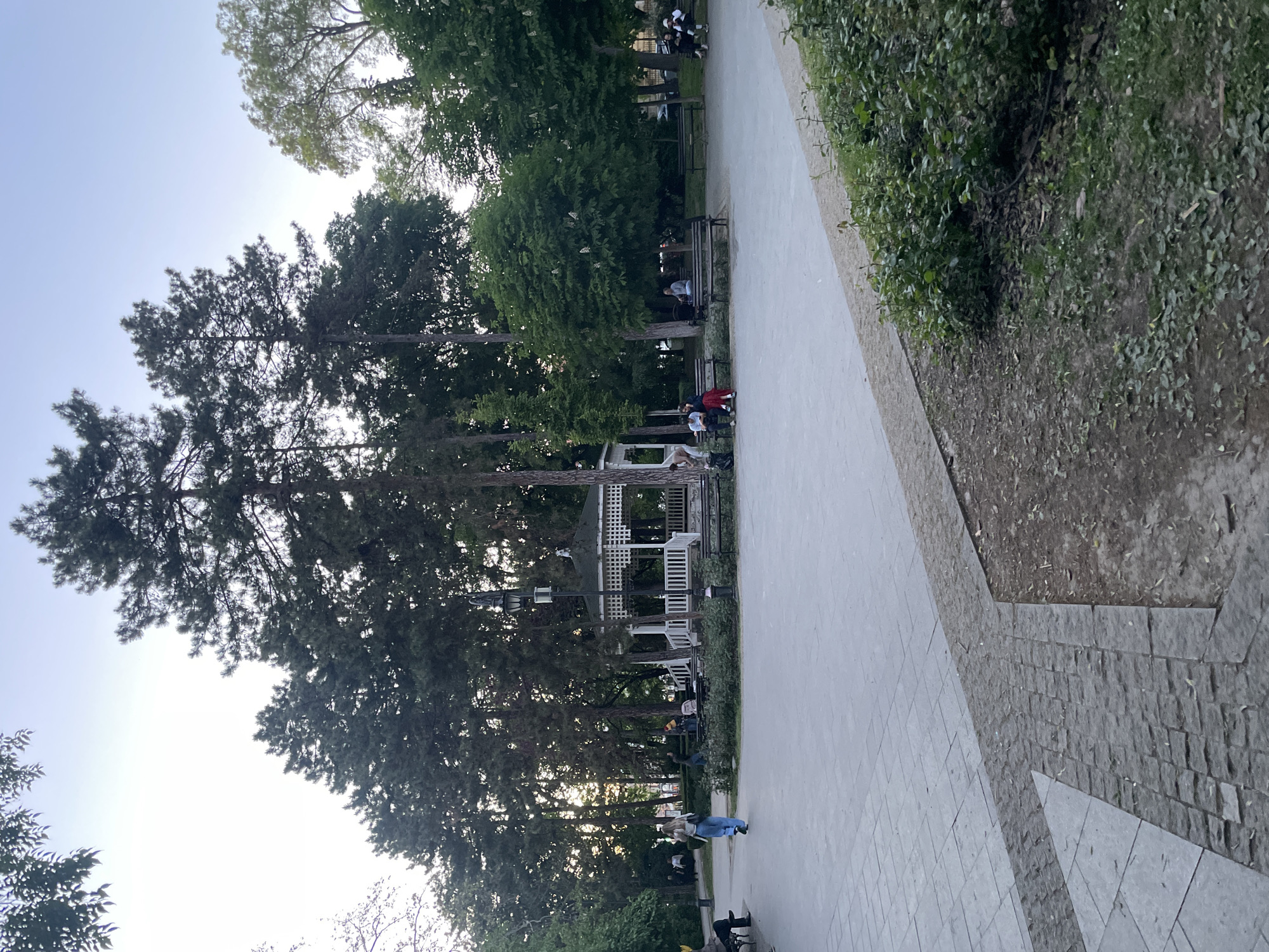 The image depicts a scene in a park in Novi Sad, Serbia. A paved path runs diagonally through the frame, with a mix of rectangular tiles and cobblestone edging. Along the path, on the left side, are mature trees and a white gazebo. Benches are positioned under the trees, where people are seated and interacting. In the background, more trees and people are visible. The sky is bright, indicating daylight. The atmosphere appears relaxed and public.