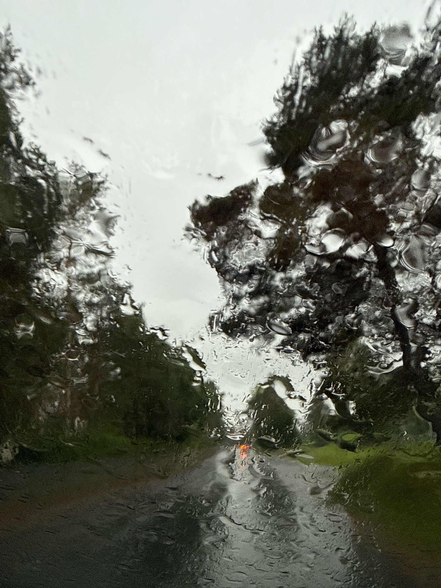 The image depicts a view through a rain-streaked car windshield looking out onto a wet road flanked by trees. The sky is overcast and grey. The road surface is dark and reflects the light. There is a small, bright orange light visible in the distance on the road, possibly from a vehicle. The trees on either side of the road are dark and their foliage is distorted by the water on the windshield. The overall impression is one of a gloomy, rainy day. The image does not provide enough information to determine a specific location within Tallinn, Estonia.