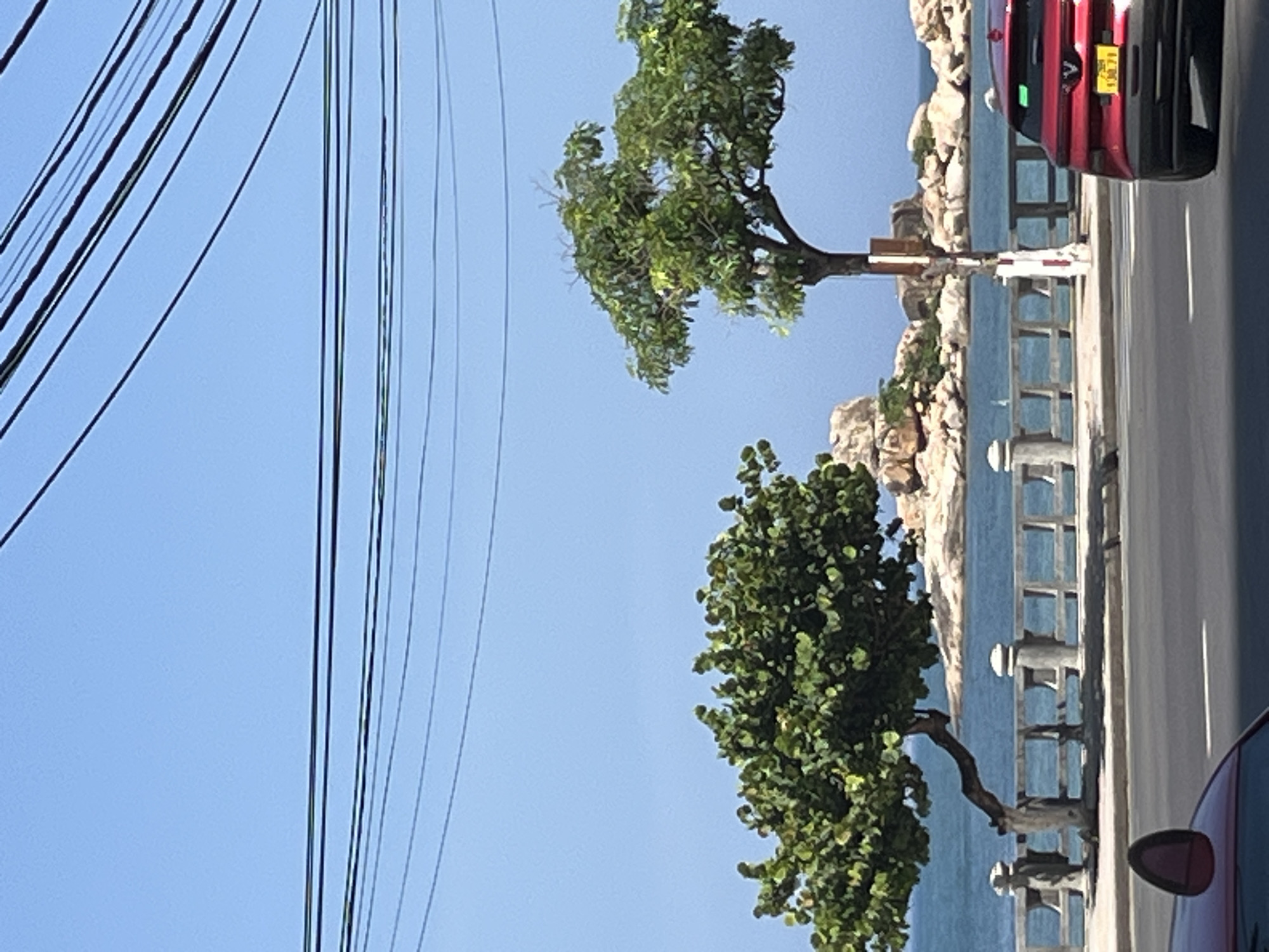 The image depicts a coastal scene in Bac Nha Trang Ward, Vietnam, under a clear blue sky. Numerous black utility lines crisscross the upper sky. In the mid-ground, a calm blue sea stretches towards light brown, eroded rocky formations or islands. Separating the road from the sea is a light-colored concrete balustrade with ornate posts. Two trees stand near the balustrade; the left tree has a thick, curved trunk and dense green foliage, while the right tree has a straighter trunk, sparser leaves, and is stabilized by a red and white striped support pole. In the foreground, a paved asphalt road displays white lane markings. On the right, the rear of a red SUV is visible, featuring a yellow license plate with black characters reading "138.71" and a "V" emblem on the tailgate. A green object is affixed to its rear window. On the far left, a portion of the hood and an oval-shaped object on the roof of another red vehicle are visible. No people are discernible in the scene.
