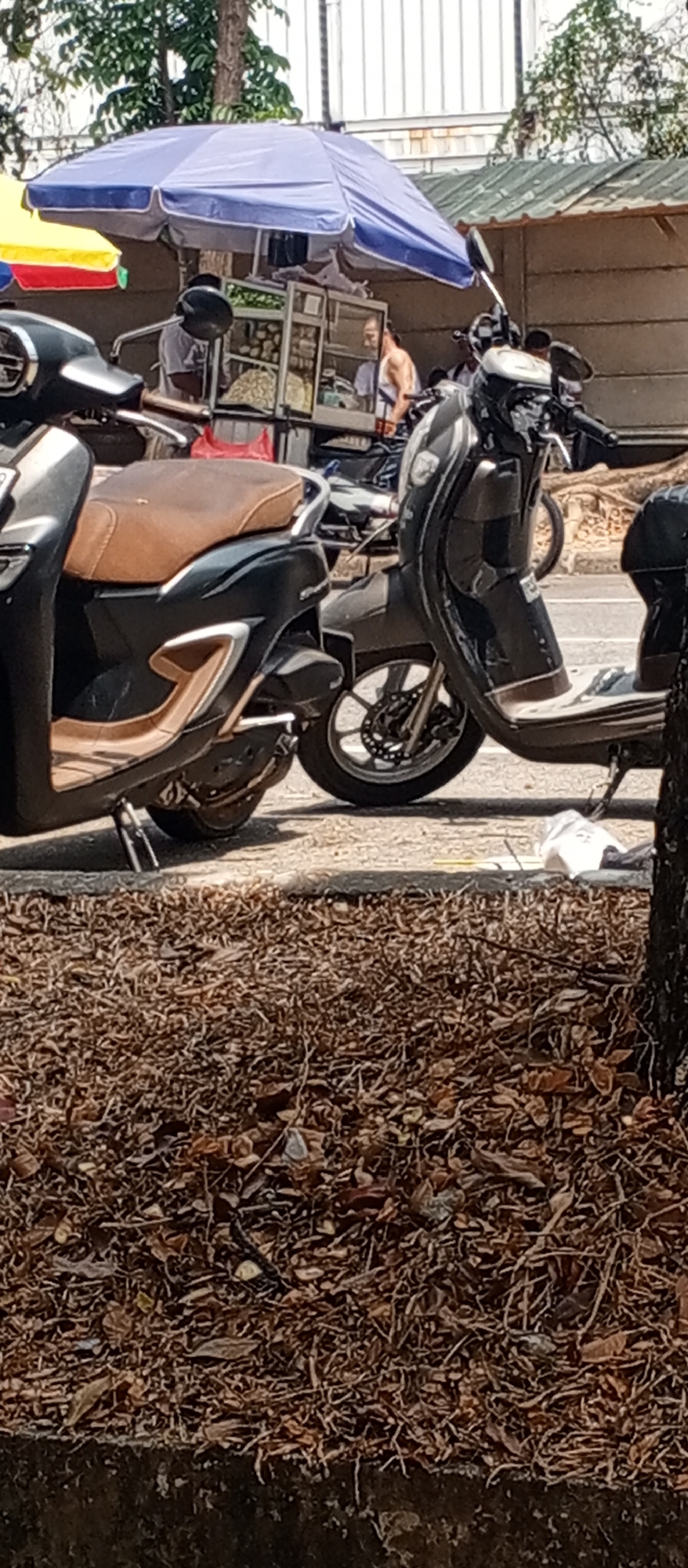 A street food cart is set up under a blue and white umbrella. A man in a white tank top is visible behind the cart. Two motorcycles are parked in front of the cart. The ground is covered with dry leaves. The scene is outdoors, with trees and buildings in the background.