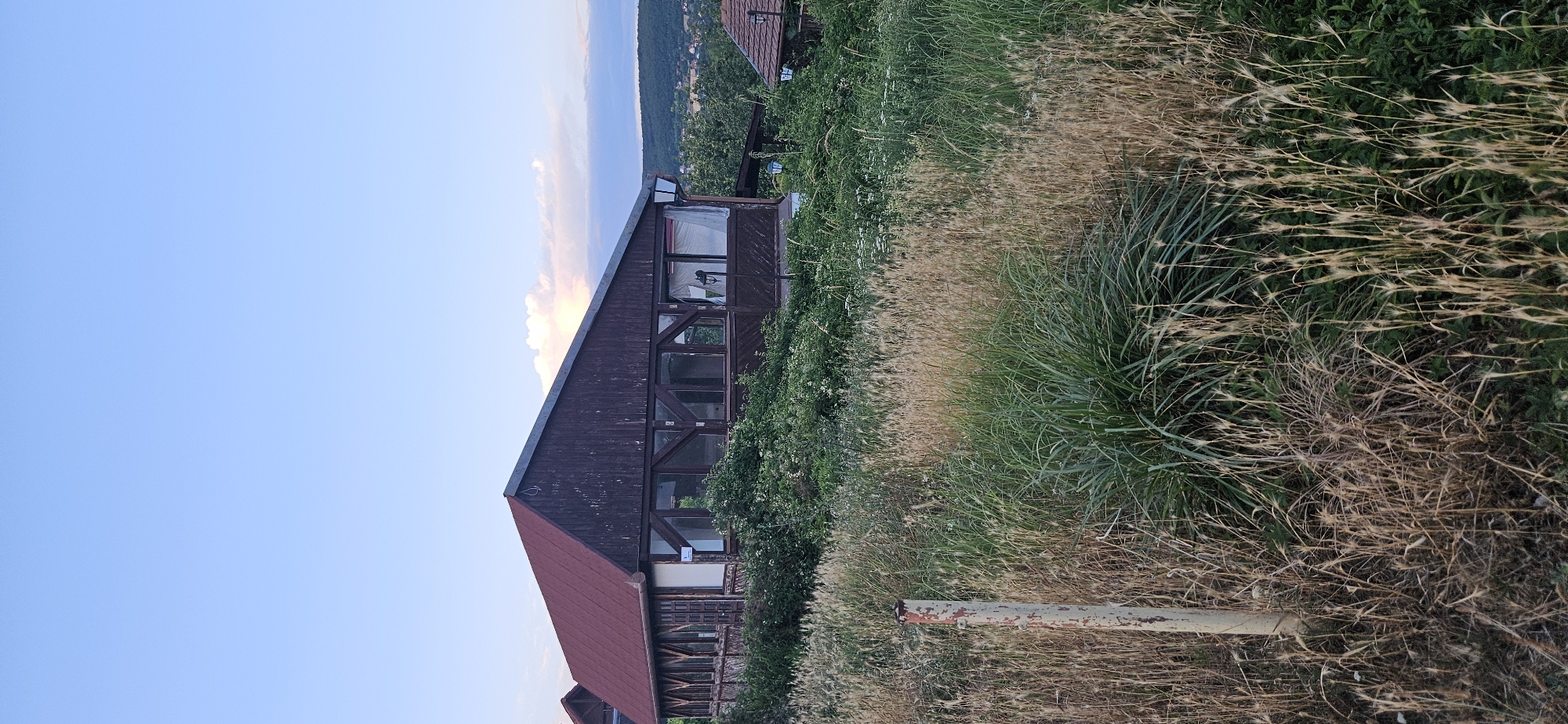 An outdoor, vertical, eye-level shot captures a wooden building with a red-tiled roof and large windows, situated on a slight incline. The building is partially obscured by overgrown vegetation, including tall, dry grasses and green bushes. In the foreground, a weathered, white-and-rust-colored post stands amidst the dry grasses. In the background, rolling hills covered in trees suggest a suburban or rural setting. The sky is a pale blue with scattered, wispy clouds, indicating either early morning or late evening. No people are visible in the frame. The overall impression is one of a slightly unkempt, natural environment surrounding a man-made structure. This location is on the outskirts of Hévíz, Hungary, a town known for its thermal lake.