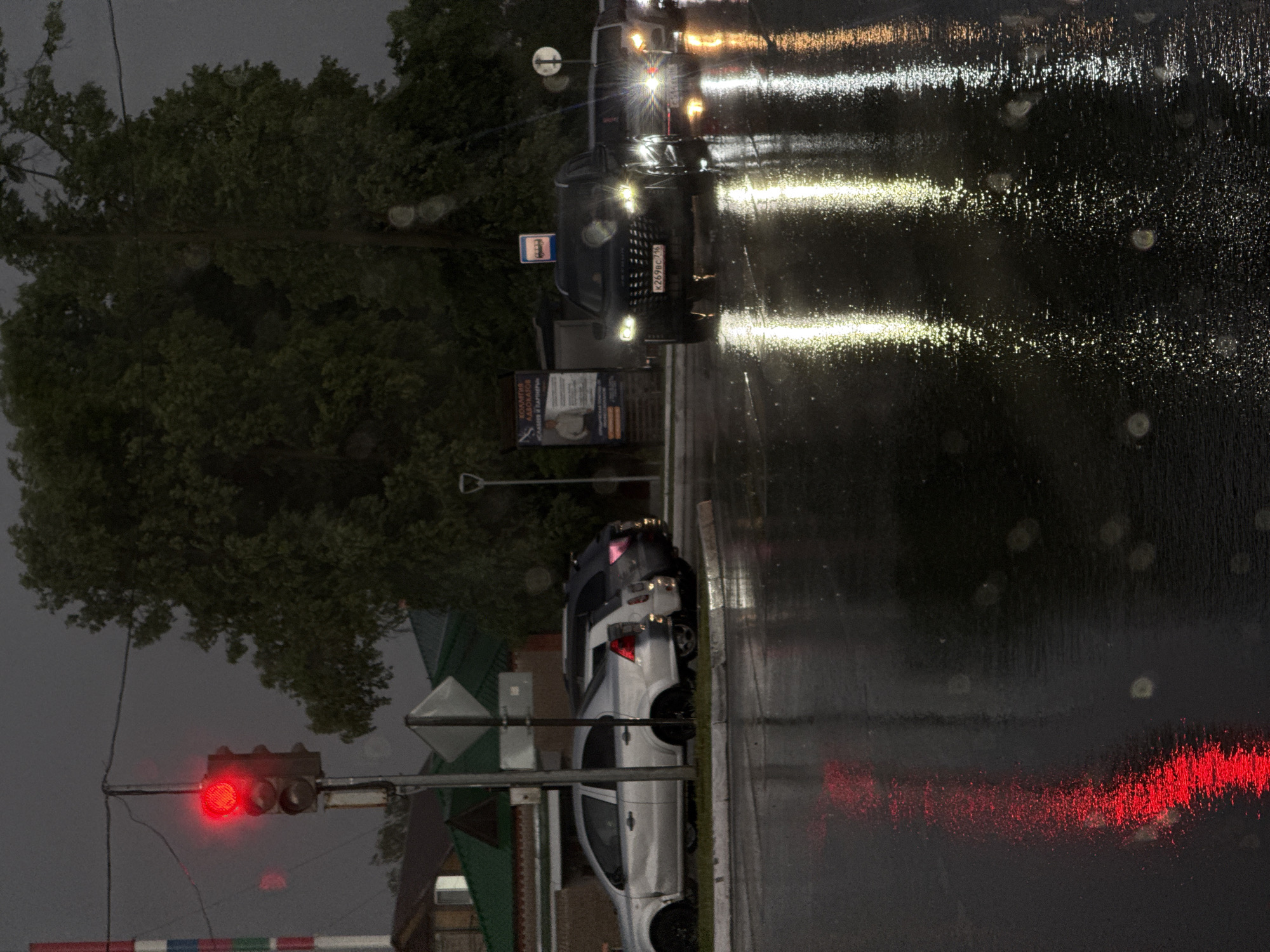 The image shows a street scene in Agryz, Russia, at night in the rain. A traffic light is visible, displaying red. Two cars are present on the road, their headlights reflecting on the wet surface. A tree lines the side of the street, and buildings are partially visible in the background. A sign is also present. The scene appears dark and wet due to the rainy conditions.