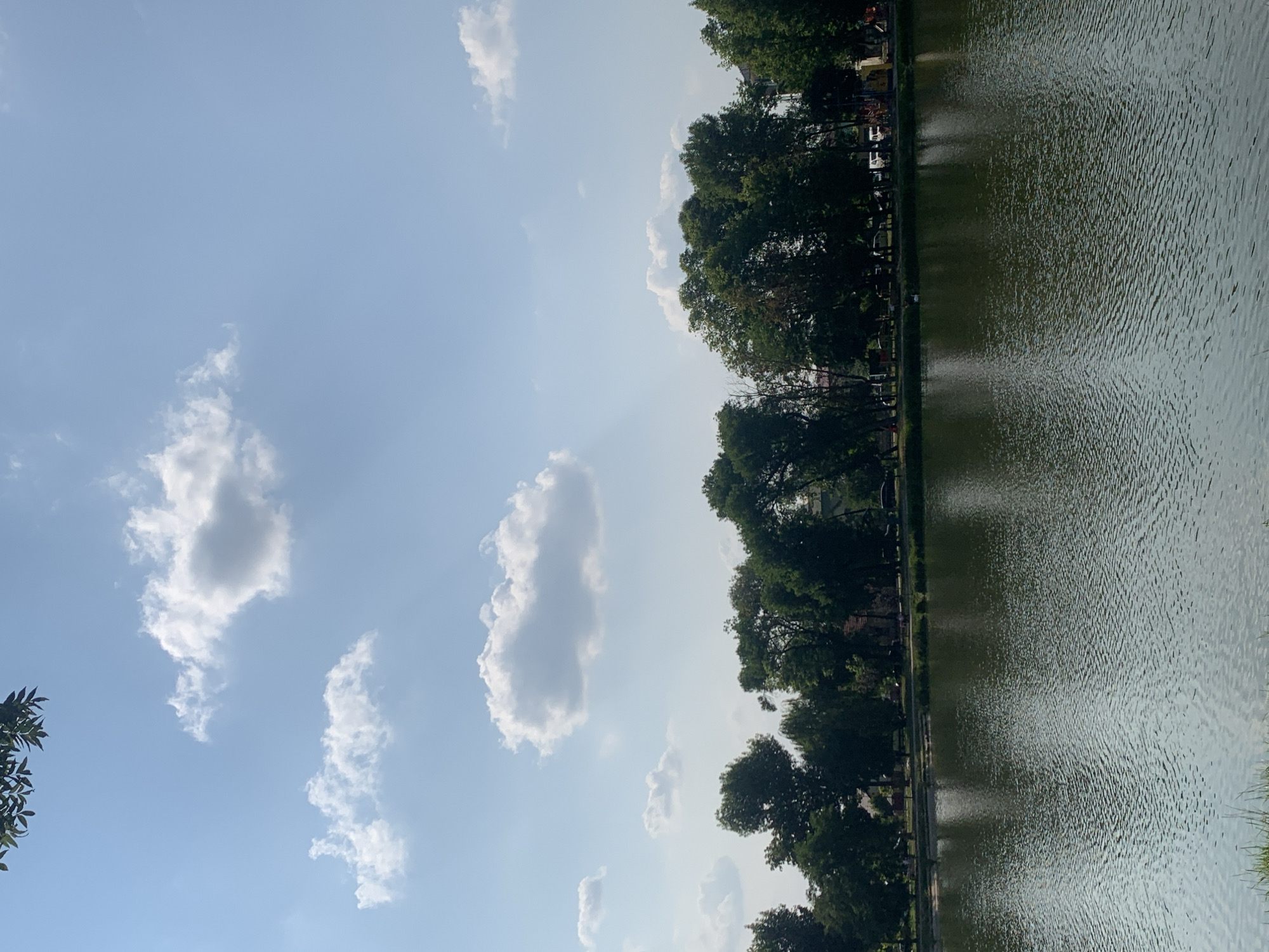 This is a landscape image of a calm lake bordered by a line of lush green trees. The water's surface is rippled, reflecting the light and the sky. The sky is a bright blue with scattered white clouds, suggesting a pleasant day, likely late morning or early afternoon. The trees are dense and appear to be mature, casting shadows. Behind the trees, some buildings and structures are faintly visible, hinting at a developed area near the natural landscape. The overall mood is serene and peaceful, characteristic of a park or a recreational area by the water. The image is oriented vertically, with the sky occupying the left half and the trees and water filling the right half. No people, text, or specific events are discernible in the image. The location is given as Kolomyia, Ukraine.