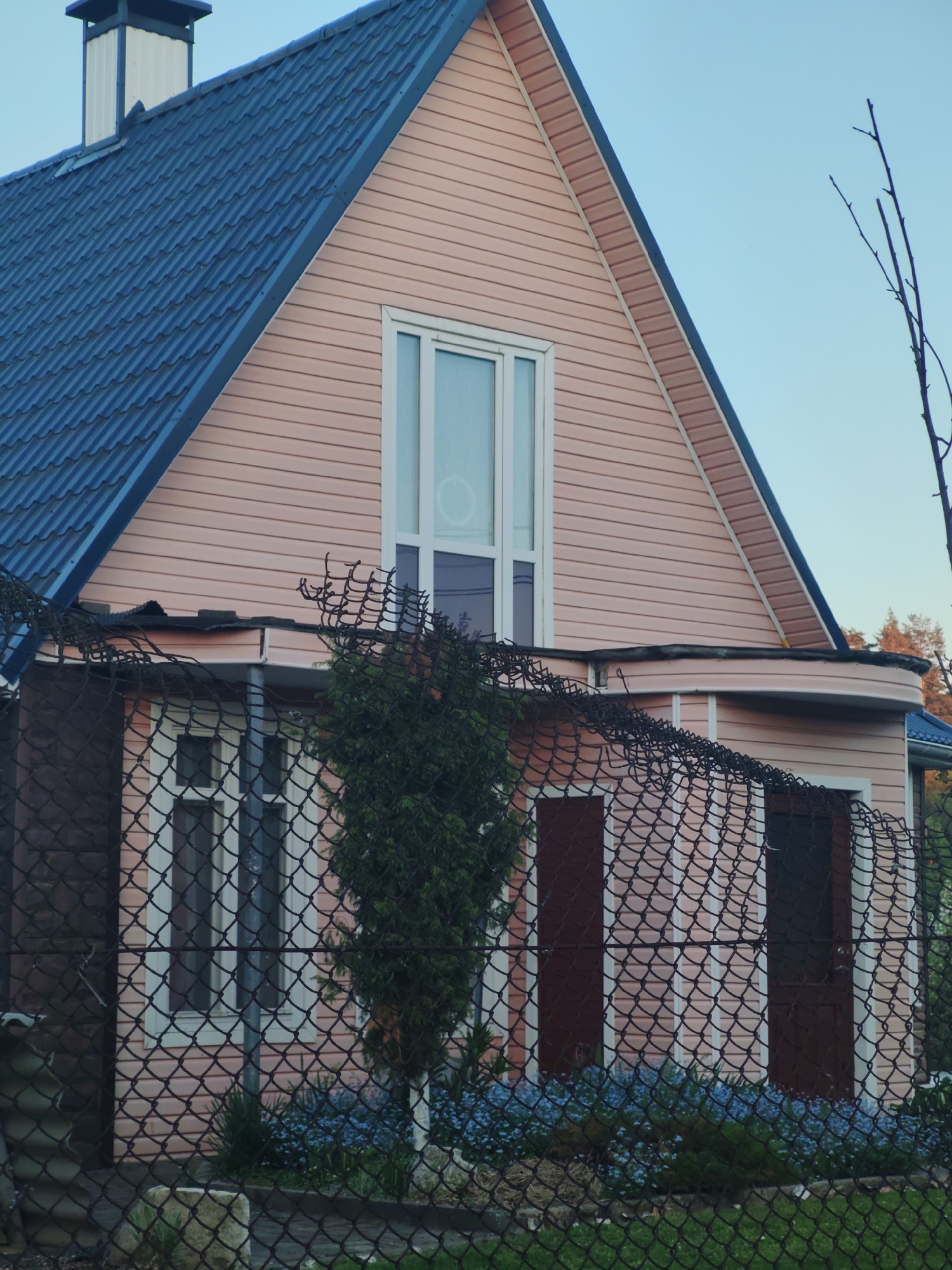 The image shows a house with pink siding and a blue tiled roof. There is a tall, narrow window on the second story and a white-trimmed window on the first. The house is partially obscured by a black chain-link fence, behind which is a small evergreen tree and some blue flowers. The location is in the city of Unknown, Unknown.