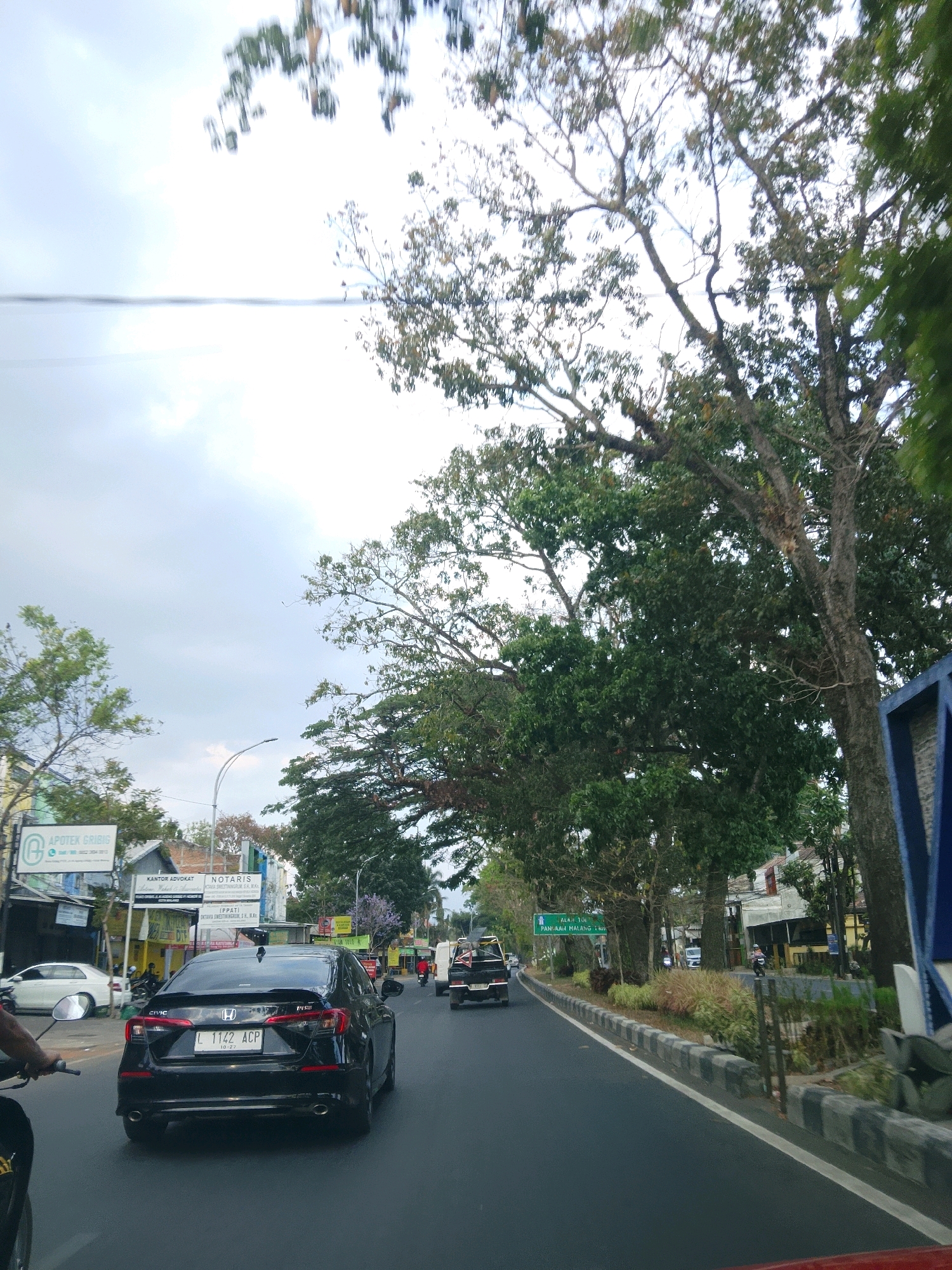 This is a street-level, eye-level, forward-facing, outdoor, daytime, medium shot image of a road in the city of Malang, Indonesia. The road appears to be a multi-lane asphalt road with clear lane markings. On the left side of the road, there are buildings with various businesses, including a pharmacy called "APOTEK GRIBIG". There are also trees and some smaller plants along the roadside. The right side of the road has more trees and some parked vehicles. In the foreground, a black Honda Civic with license plate "L 1142 ACP" is driving on the road. In the background, other vehicles, including cars, trucks, and motorcycles, are also visible. The sky is overcast. The overall scene depicts a typical urban environment in Malang with traffic and commercial activity.