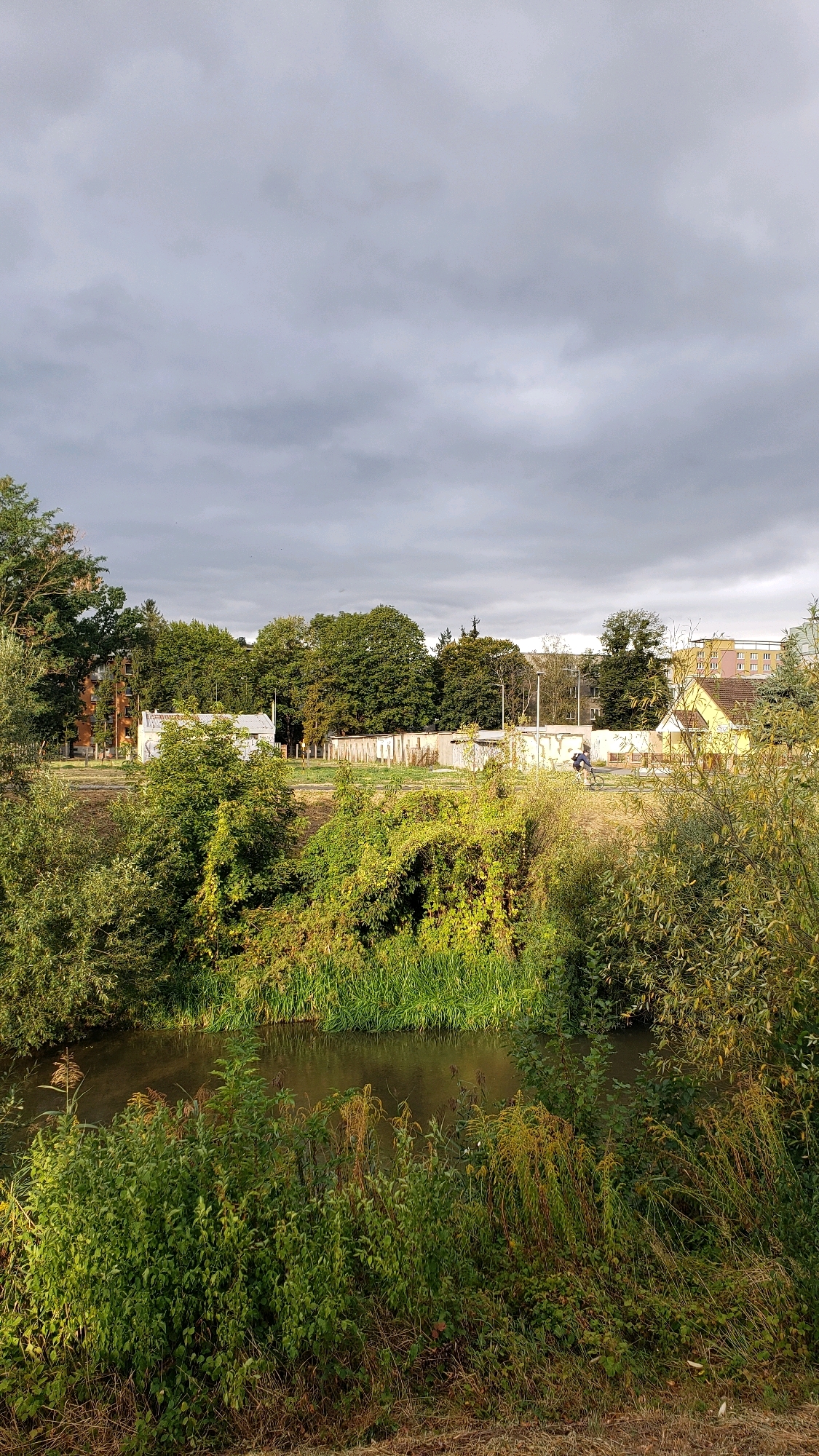 This is an outdoor, vertical, full-shot photograph capturing a tranquil scene by a riverbank in Prešov, Slovakia, under a cloudy sky. In the foreground, dense green foliage and dry grasses line the edge of a calm, dark-water river. Beyond the river, a lush green bank is covered with trees and bushes, some of which are entwined with vines, suggesting a natural or semi-wild area. In the mid-ground, a row of white, garage-like structures stretches horizontally. To the right of these structures, a bright yellow building with a brown roof is visible. Further in the background, a person on a bicycle is a small, solitary figure moving along a path. Tall trees form a dense line behind the garages, and beyond them, several buildings, including a multi-story structure with yellow and white facades, rise against the sky. The overall atmosphere is serene and slightly overcast, with hints of sunlight breaking through the clouds, casting a soft, diffused light on the landscape.