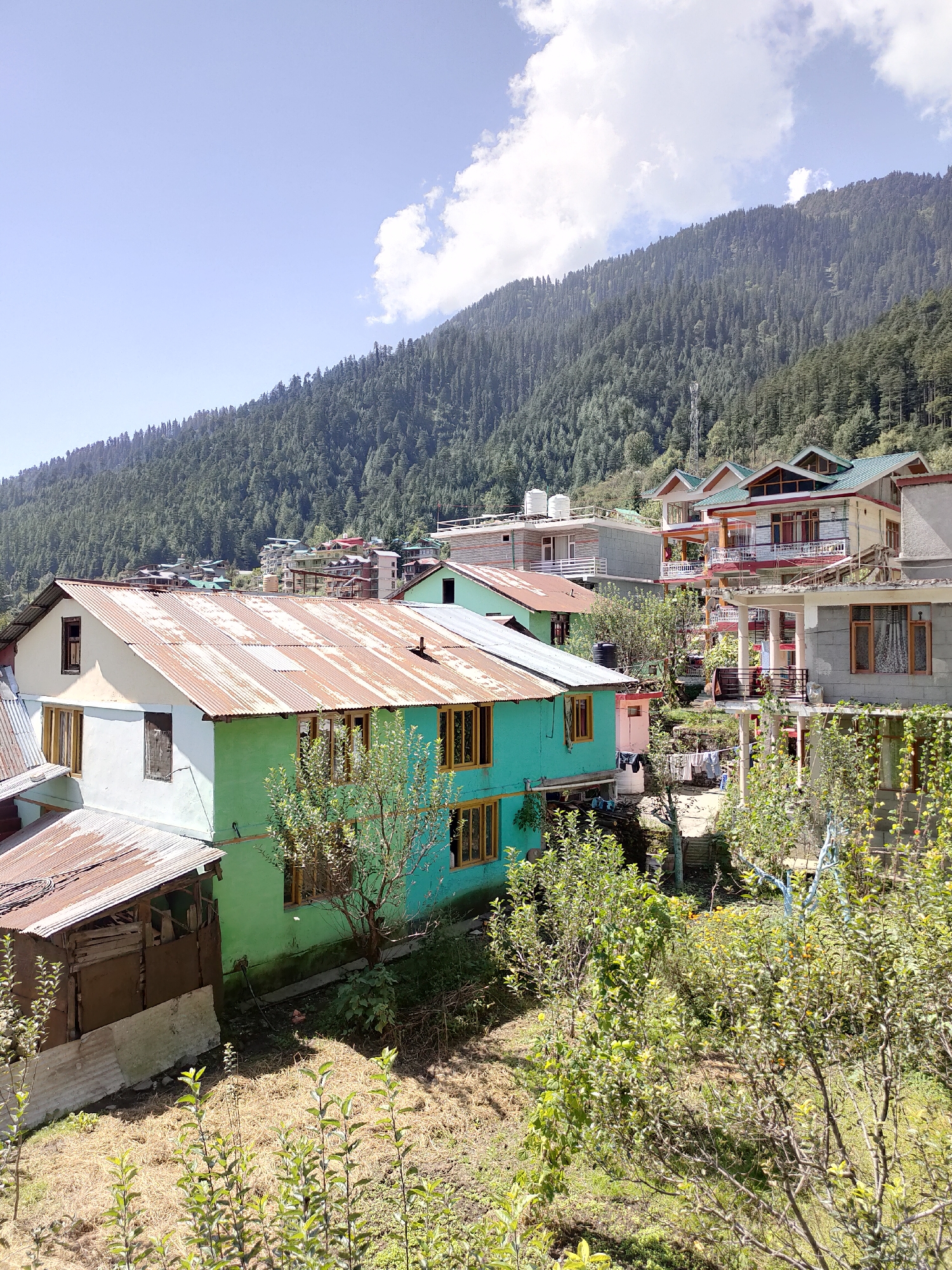 The image depicts a residential area nestled against a densely forested mountainside under a clear blue sky with scattered white clouds. In the foreground, there are several houses with corrugated tin roofs and light-colored walls, some painted in vibrant turquoise and green. These structures are surrounded by lush greenery and trees, with dry grass and soil in some areas. In the midground, more houses and buildings are visible, some appearing to be hotels or guesthouses with balconies and multiple stories. The backdrop is dominated by a steep mountain slope covered in a thick carpet of evergreen trees. The scene conveys a sense of a tranquil, mountainous village or town.