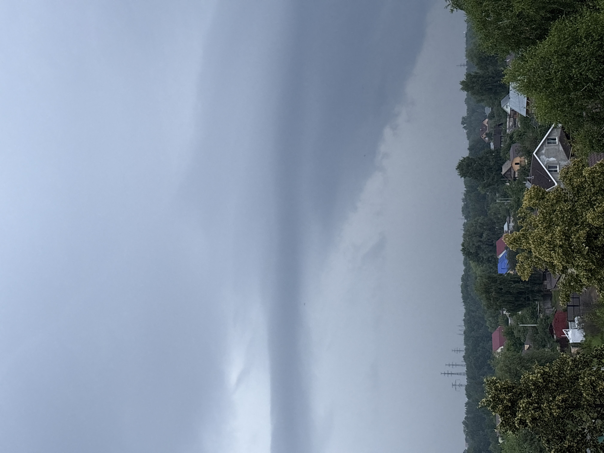 The image captures a wide, overcast sky with dense, dark clouds dominating the upper portion. Below the clouds, a dense line of green trees stretches horizontally across the mid-ground, obscuring the horizon. Within this treeline, scattered houses with various roof colors, including red, blue, and grey, are visible, indicating a residential area. In the distance, several tall, lattice-like structures, likely electrical pylons, rise above the trees. The foreground features the upper branches of two large trees with mottled green and yellow foliage, framing the scene and suggesting an elevated viewpoint. The overall atmosphere is gloomy, hinting at impending rain or a recent storm. The location is the city of Chaikovsky, Russia.