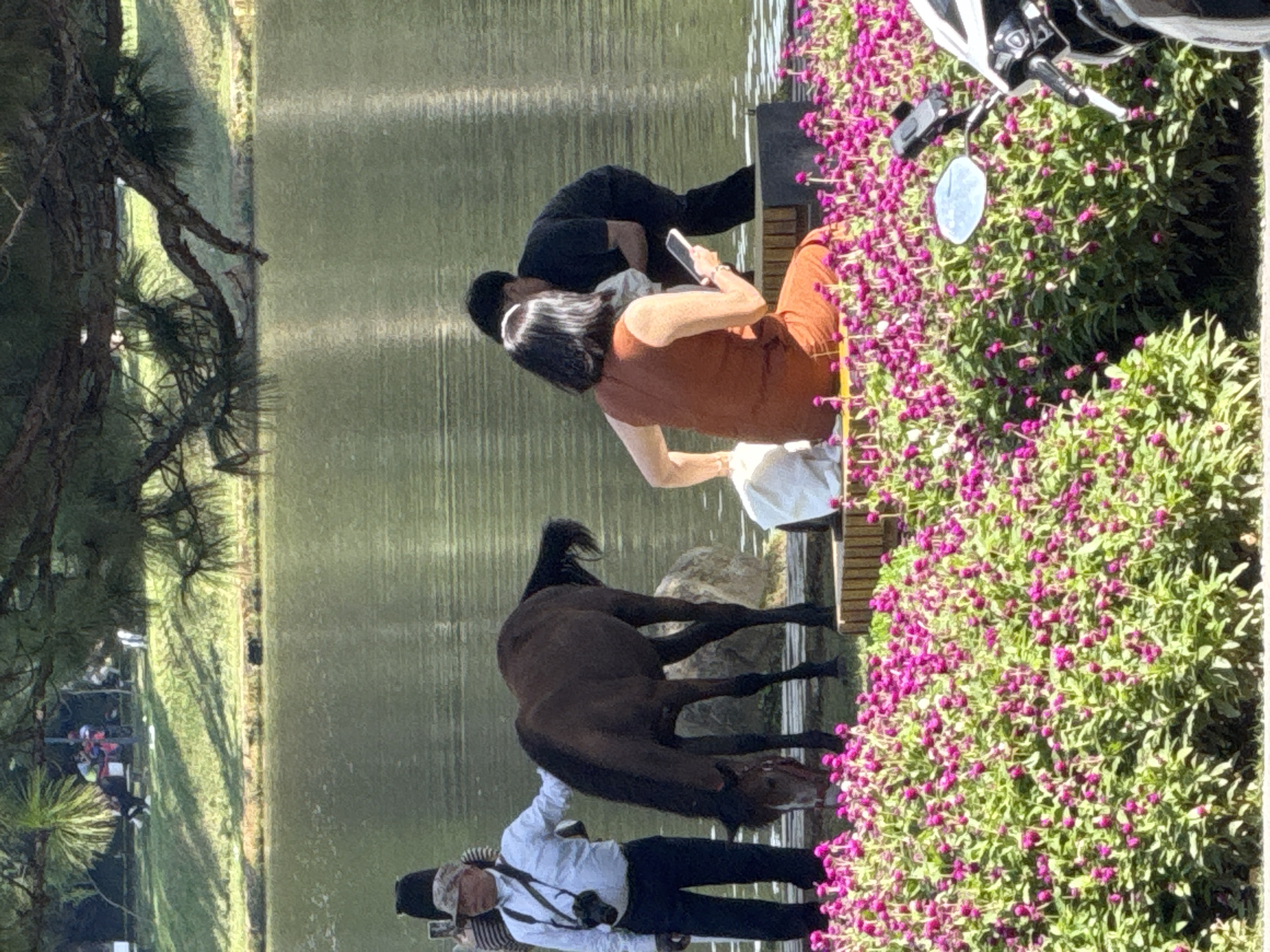 The image depicts a scene near a body of water in Da Lat, Vietnam, possibly Xuan Huong Lake, surrounded by lush greenery and trees. In the foreground, a dense patch of vibrant pink globe amaranth flowers lines the edge of the frame. A motorcycle is partially visible on the right.
A dark brown horse stands near the water's edge, with its head lowered as if drinking or grazing. To the left of the horse, a man wearing a white long-sleeved shirt, dark pants, and a camouflage hat is standing, holding a camera with a strap around his neck. He appears to be looking at the horse or the surrounding area.
Further to the right, a woman in an orange dress is seated on a low wooden structure, holding a mobile phone. Behind her, partially obscured, is another person in a dark shirt. They appear to be engaged in conversation or observing something near the water. The water reflects the sunlight and the surrounding foliage, creating a shimmering effect. The background shows a grassy slope with trees, suggesting a park or a natural setting within the city.
