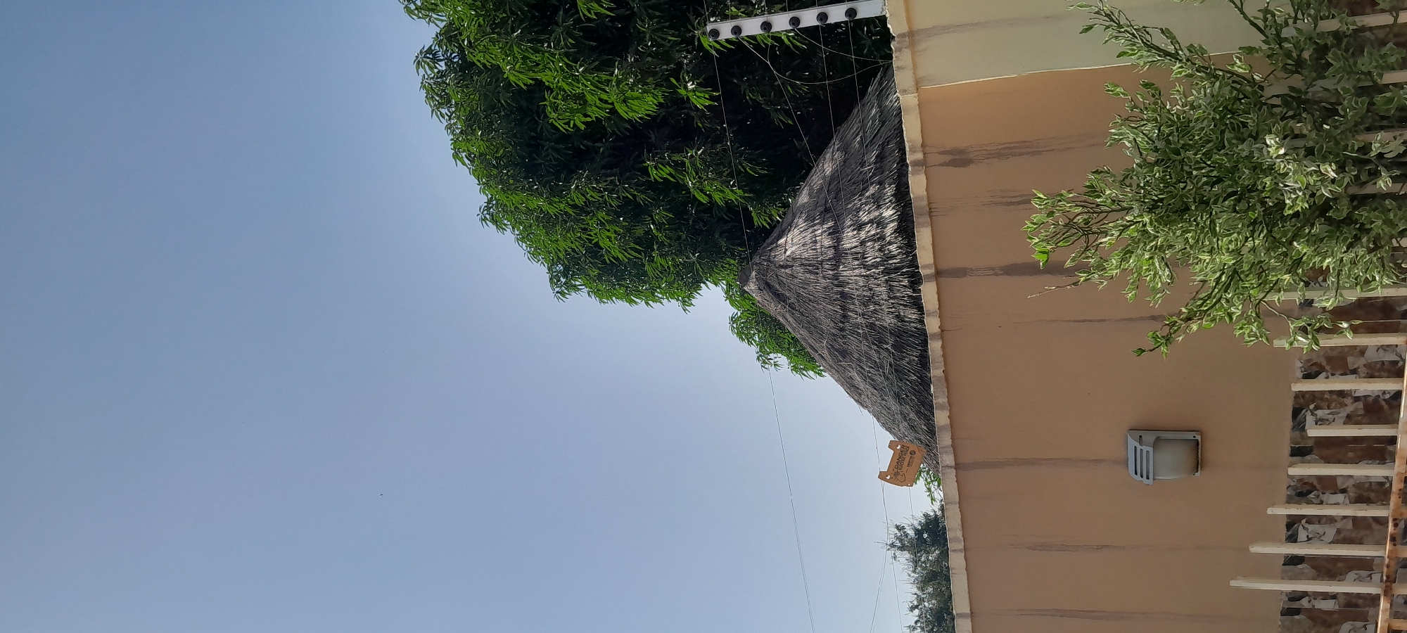The image, taken in Jalingo, Nigeria, depicts an outdoor scene dominated by a clear blue sky. In the mid-ground, a thatched-roof structure with a conical shape is visible, partially obscured by a large, lush green tree. A beige-colored wall with a textured finish runs horizontally across the lower portion of the frame. An electric fence with insulators is mounted on top of this wall, behind the thatched roof. On the wall, a light fixture is attached. A decorative fence, with vertical white posts and patterned infill, is situated in front of the wall. To the right, a bush with variegated green and white leaves grows near the fence. A small, yellow warning sign, seemingly attached to the electric fence wire, is also present.