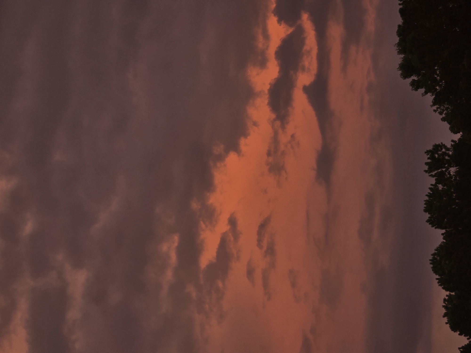 This is a vertical, medium-shot photograph taken at dusk, featuring a dramatic sky filled with dark, reddish-brown clouds interspersed with patches of vibrant orange. The clouds are textured and uneven, with some areas appearing thicker and more opaque than others. The lower portion of the image shows a silhouette of a dense line of evergreen trees against the colorful sky, their tops forming an irregular dark band. The scene is likely an outdoor landscape setting, possibly a park or residential area on the outskirts of Marietta, United States, given the presence of trees against a sunset sky. There are no people or objects of human construction visible in the frame, with the focus being entirely on the natural elements of the sky and trees.