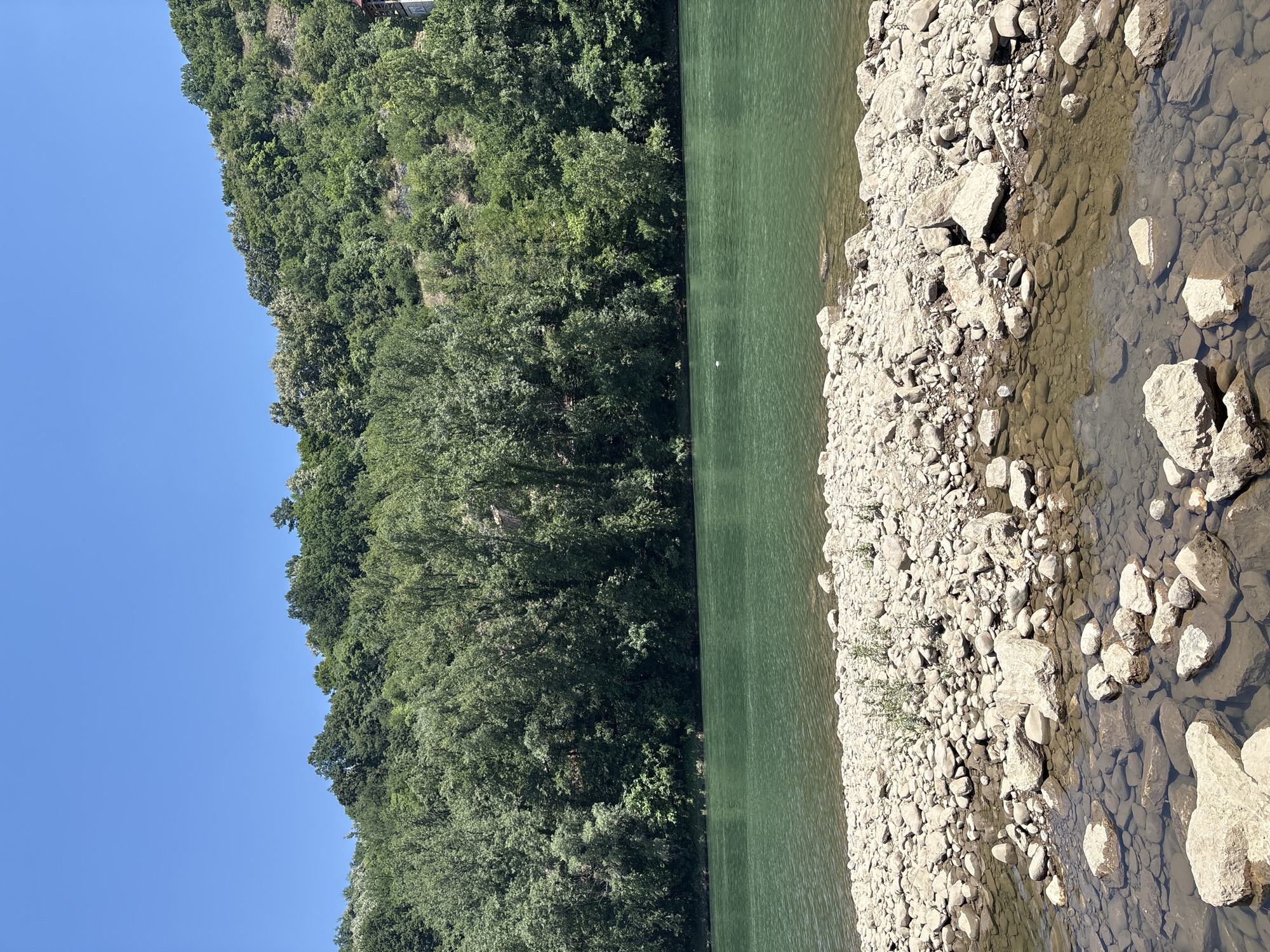 A wide, green river flows in the midground, with a rocky shore in the foreground. A densely forested hill rises behind the river, its slopes covered in lush green trees. The sky above is clear and blue. There is a single white bird visible on the water in the midground. The scene is likely Zvornik, Bosnia and Herzegovina, known for its natural beauty along the Drina River.