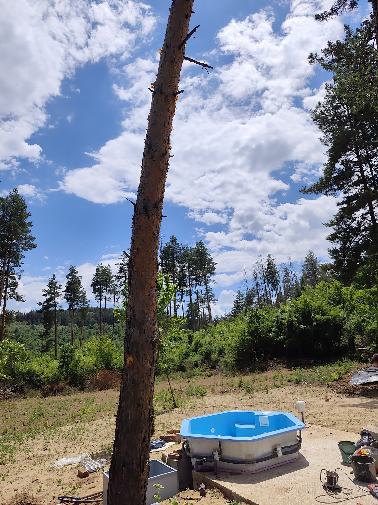 The image depicts an outdoor scene in the village of Kladnitsa, Bulgaria, under a bright blue sky with scattered white clouds. In the foreground, a large, rough-barked tree trunk stands prominently, angled towards the left of the frame. To the right of the tree, a hexagonal blue-and-white bathtub, possibly a hot tub, is situated on a concrete pad. Various plumbing components, including black hoses and white pipes, are connected to the tub. Several buckets, some containing what appears to be dirt or debris, are scattered around the concrete pad, along with what looks like a power tool.
The surrounding environment is a dry, sandy area with sparse green vegetation, suggesting a rural or construction site. Behind the bathtub, a dense green forest can be seen, with taller pine trees visible further in the background. The terrain slopes upwards towards the forest. A person is partially visible in the upper right portion of the image, near a pile of black material covered by a white tarp. The overall impression is that of an outdoor area undergoing some form of setup or construction, with elements of both nature and man-made objects present.