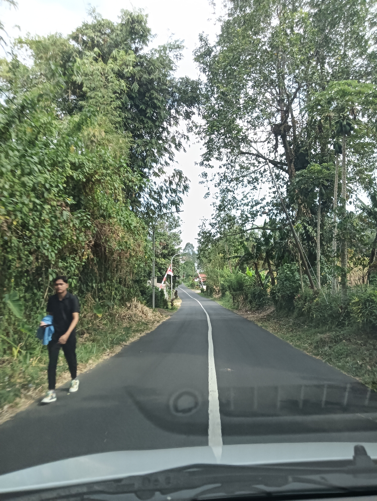 The image shows a rural road in Tomohon, Indonesia, lined with dense vegetation and mature trees. A young man wearing a black shirt, black pants, and white sneakers walks along the left side of the road, carrying a light blue cloth over his left shoulder. The road is paved with asphalt and has a white line painted down the center. In the distance, the road curves and disappears behind trees. A red and white flag is visible on a pole near the roadside. The scene appears to be captured from inside a vehicle, with the windshield and dashboard visible in the foreground. The sky is overcast.