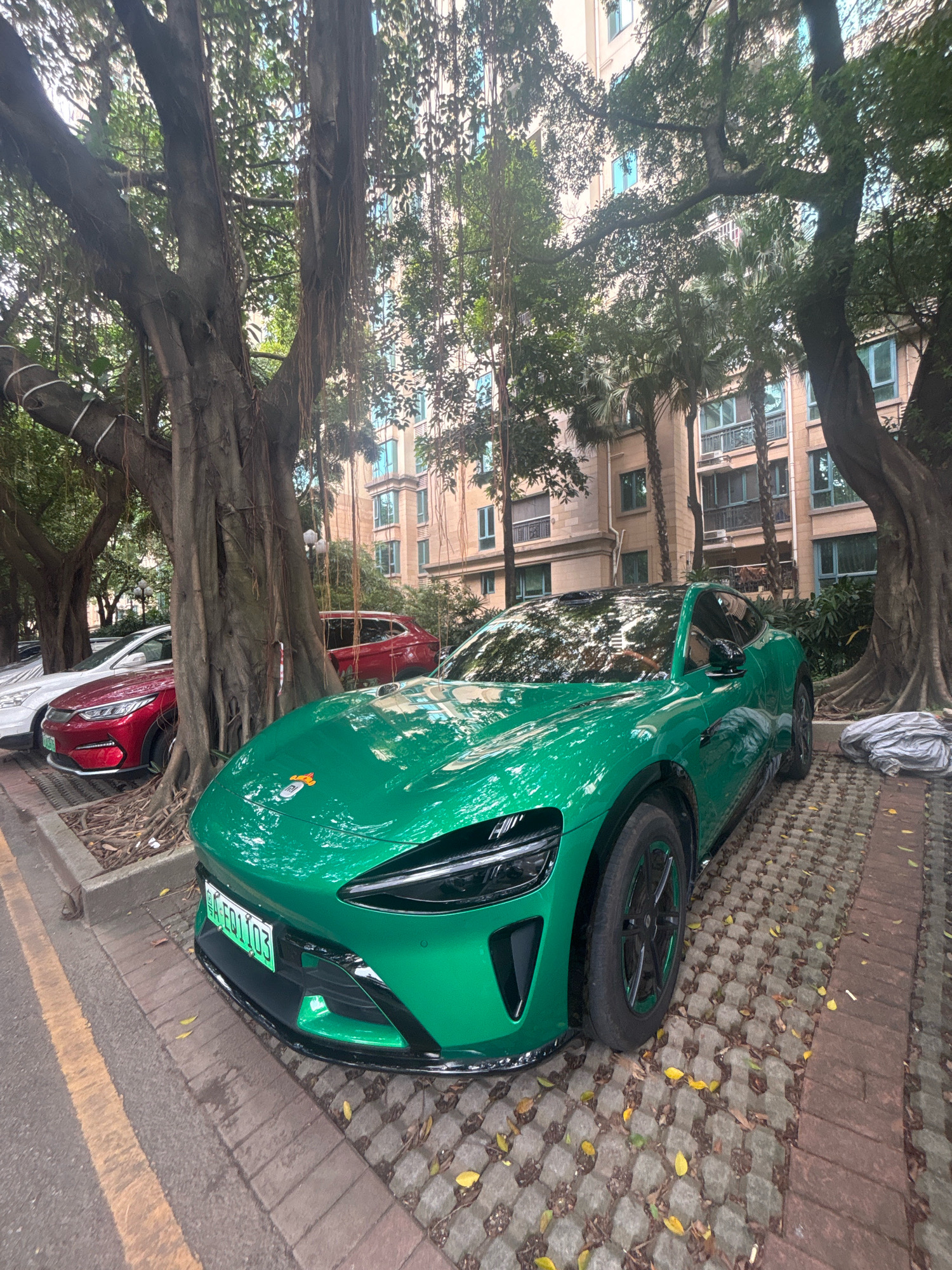 The image depicts a street scene in Nanhai District, China, dominated by a vibrant green electric car parked on a patterned brick surface. The car, a coupe with a sleek, modern design, is the primary subject, positioned centrally in the foreground. It features a black roof and contrasting black accents on its front bumper and wheels. A license plate, green and white, is affixed to the front bumper.
Behind the green car, other vehicles are visible. A red SUV is parked to its left, and further back, a white car is partially seen. The street is lined with mature trees, their thick trunks and sprawling branches creating a dappled shade over the scene. The trees' aerial roots hang down, adding a unique texture to the environment.
In the background, a multi-story residential building stands, its light-colored facade punctuated by numerous windows, some with blue panes. Palm trees and other foliage are interspersed between the building and the street, contributing to a lush, urban park-like atmosphere. The ground is covered with a permeable paving system made of interlocking concrete blocks, with scattered fallen leaves indicating the season. The lighting suggests it is daytime, with overcast conditions casting soft shadows. There are no people visible in the image.