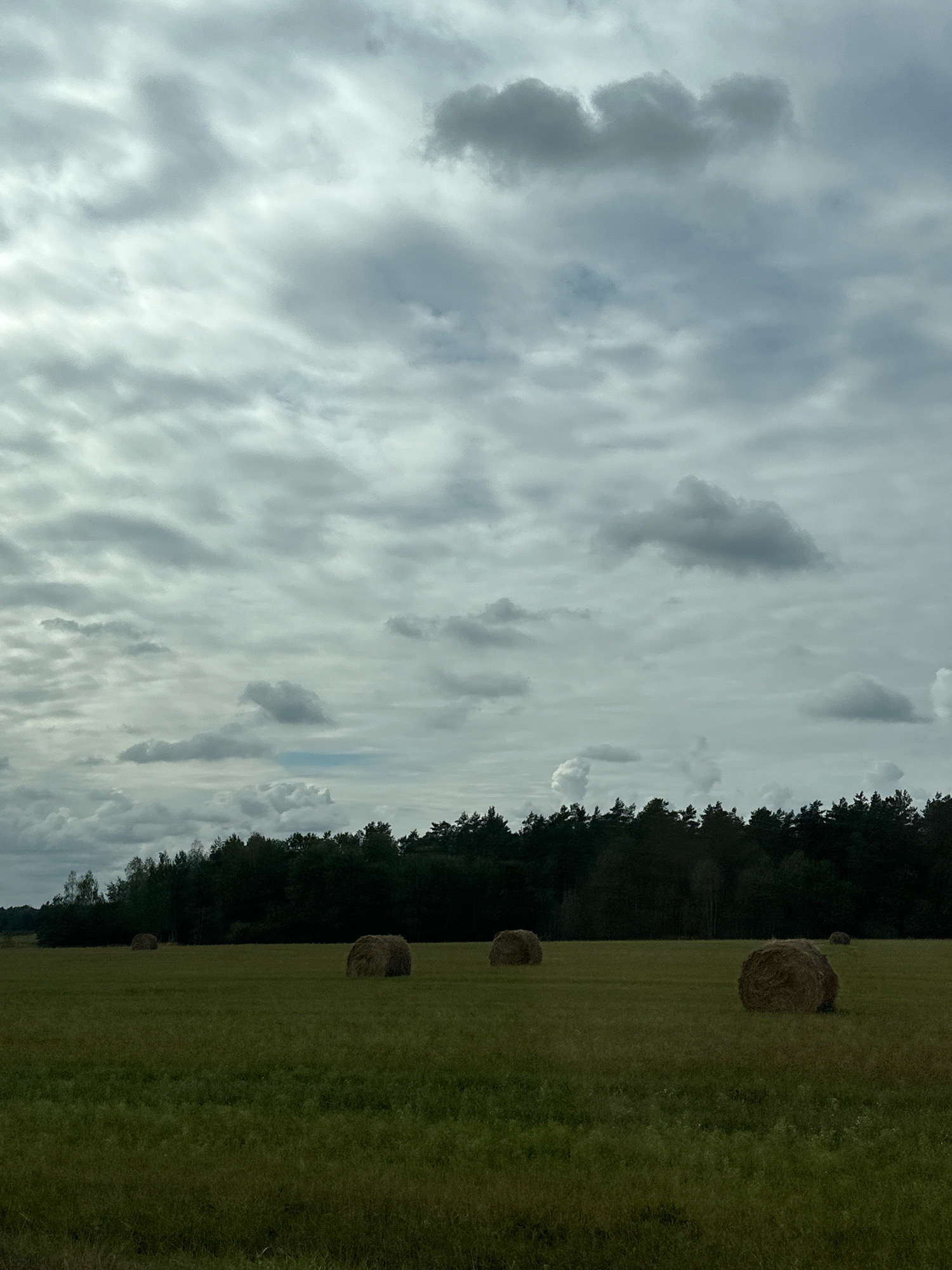 The image depicts a rural landscape under a cloudy sky. In the foreground, a field of green grass stretches towards a line of dark green trees that form a dense forest in the background. Several large, round hay bales are scattered across the field. The sky is filled with a variety of gray clouds, some dark and heavy, others lighter and more diffused, suggesting overcast or approaching weather. The overall impression is one of a harvested agricultural field in a natural setting. The location is identified as Сычкаўскі сельскі Савет, Belarus. There are no people or animals visible in the image.