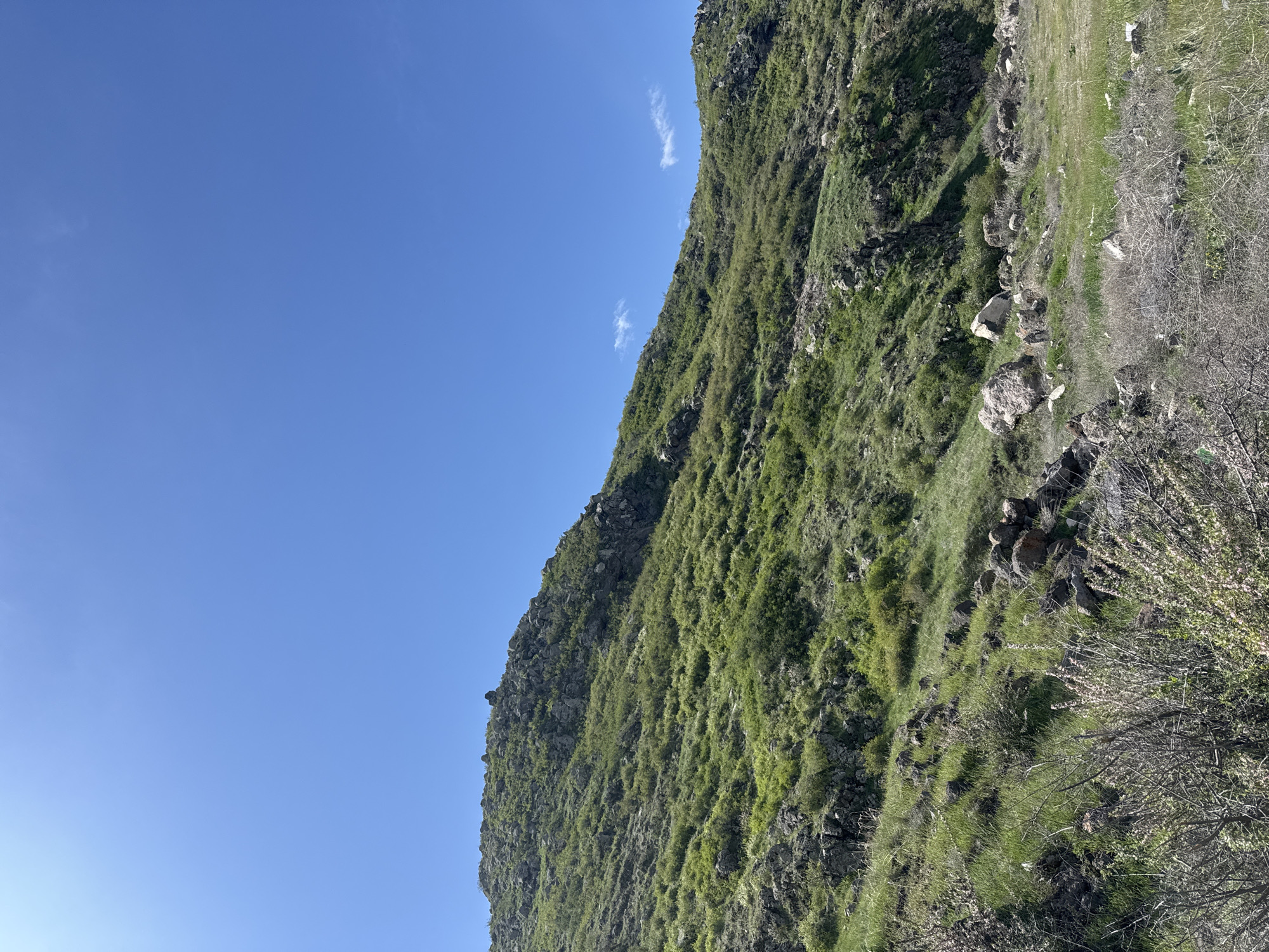 The image depicts a hillside in Bagravan, Armenia, under a clear blue sky with a few scattered clouds. The hillside is covered in varying shades of green vegetation, indicating a mix of grasses, shrubs, and perhaps some small trees. Rocky outcrops and scattered boulders are visible along the slope. A dirt path or trail runs along a portion of the hillside, suggesting human activity or grazing. The composition suggests a rural, natural environment, possibly on the outskirts of the city. No people, animals, or human-made structures besides the trail are apparent in the image.