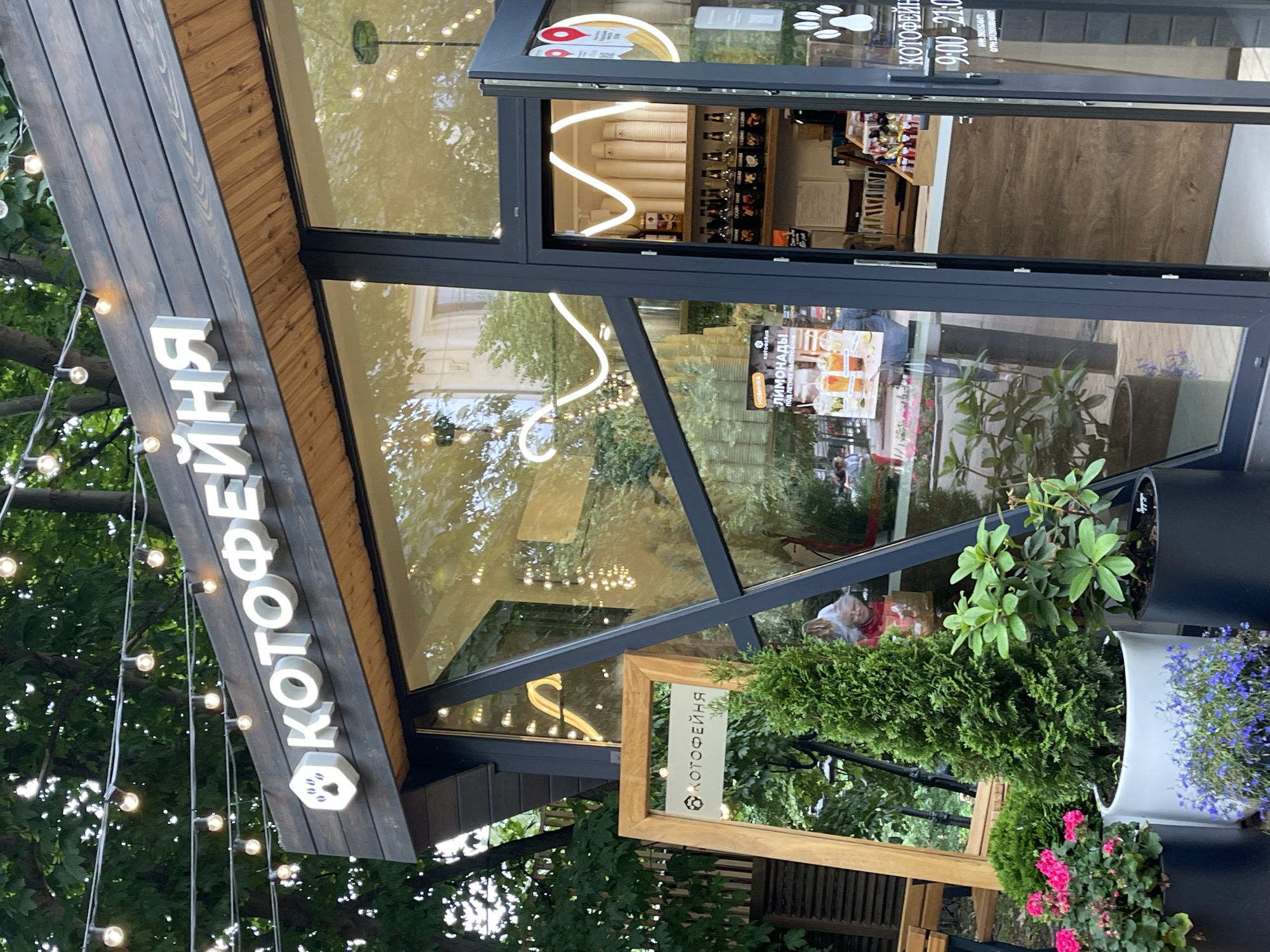This media file is a photograph of a cafe called "Kotofeynya" in Zelenogradsk, Russia. The cafe appears to be an outdoor establishment, possibly a coffee shop or a place serving drinks and snacks, given the signage that includes "Лимонады" (Lemonades).
The prominent subject is the cafe's exterior, featuring a dark wooden facade with white lettering that spells out "КОТОФЕЙНЯ". A stylized logo of cat paw prints is also visible next to the name. The cafe has large glass windows, allowing a view into the interior where shelves with bottles and stacked cups can be seen. Overhead string lights with glowing bulbs add to the ambiance.
In the foreground, to the right, there are potted plants, including a tall evergreen and a planter with small blue flowers and pink flowers. A wooden frame structure, possibly a decorative element or part of an outdoor seating area, is also visible.
The sign also displays the cafe's operating hours: "9:00 - 21:00". The time of day appears to be daytime, with natural light filtering through the trees that surround the cafe, suggesting a pleasant outdoor setting. Reflections in the glass indicate trees and possibly other buildings or people outside the cafe. While no people are clearly depicted as the main subjects, there are reflections of people visible in the glass. The overall mood seems relaxed and inviting, typical of a cafe environment.