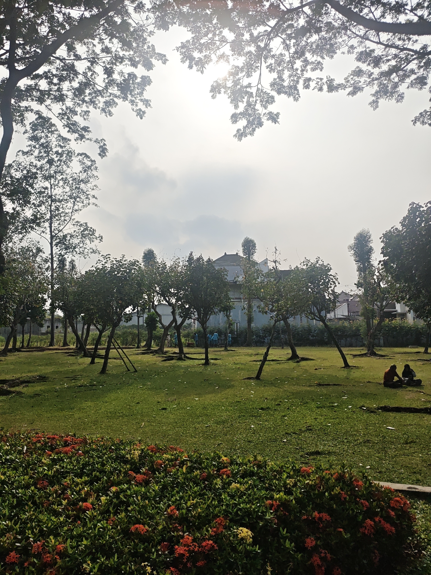 In the city of Bacin, Indonesia, a park scene unfolds. In the foreground, a dense bed of vibrant red and yellow ixora flowers blooms. Beyond this floral display, a sprawling green lawn stretches out, dotted with several trees exhibiting distinctively angled trunks, some supported by wooden stakes. The sunlight filters through the leaves of larger trees bordering the upper edge of the frame, creating a dappled effect against a hazy sky. In the mid-ground, a light blue building with a grey roof is visible, surrounded by a dark fence. To the right of the frame, two individuals are seated on the grass, appearing to be conversing or relaxing. Several other figures, possibly children, are scattered in the mid-ground, engaging in activities on the lawn. The overall environment suggests a tranquil park setting under a slightly overcast sky.