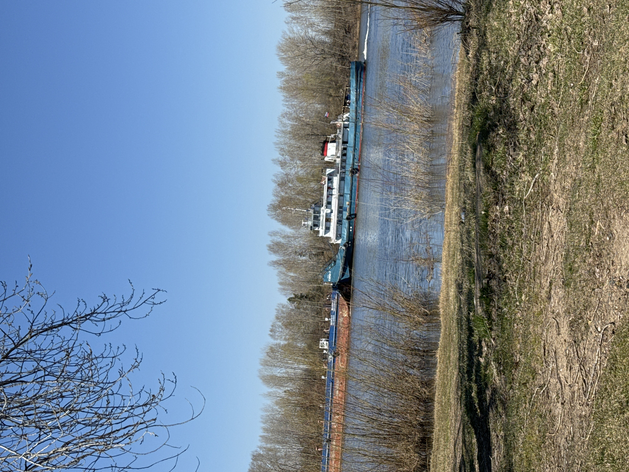 The image depicts a river landscape, likely in the vicinity of Chaikovsky, Russia, given the style of vessels present.
Environment: A river with a grassy bank to the right. A line of trees runs along the river's edge, separating the water from the sky.
Objects: A large barge is docked on the river. A smaller boat is attached to the barge. Bare trees are near the water's edge.
Sky: The sky is clear and blue.
