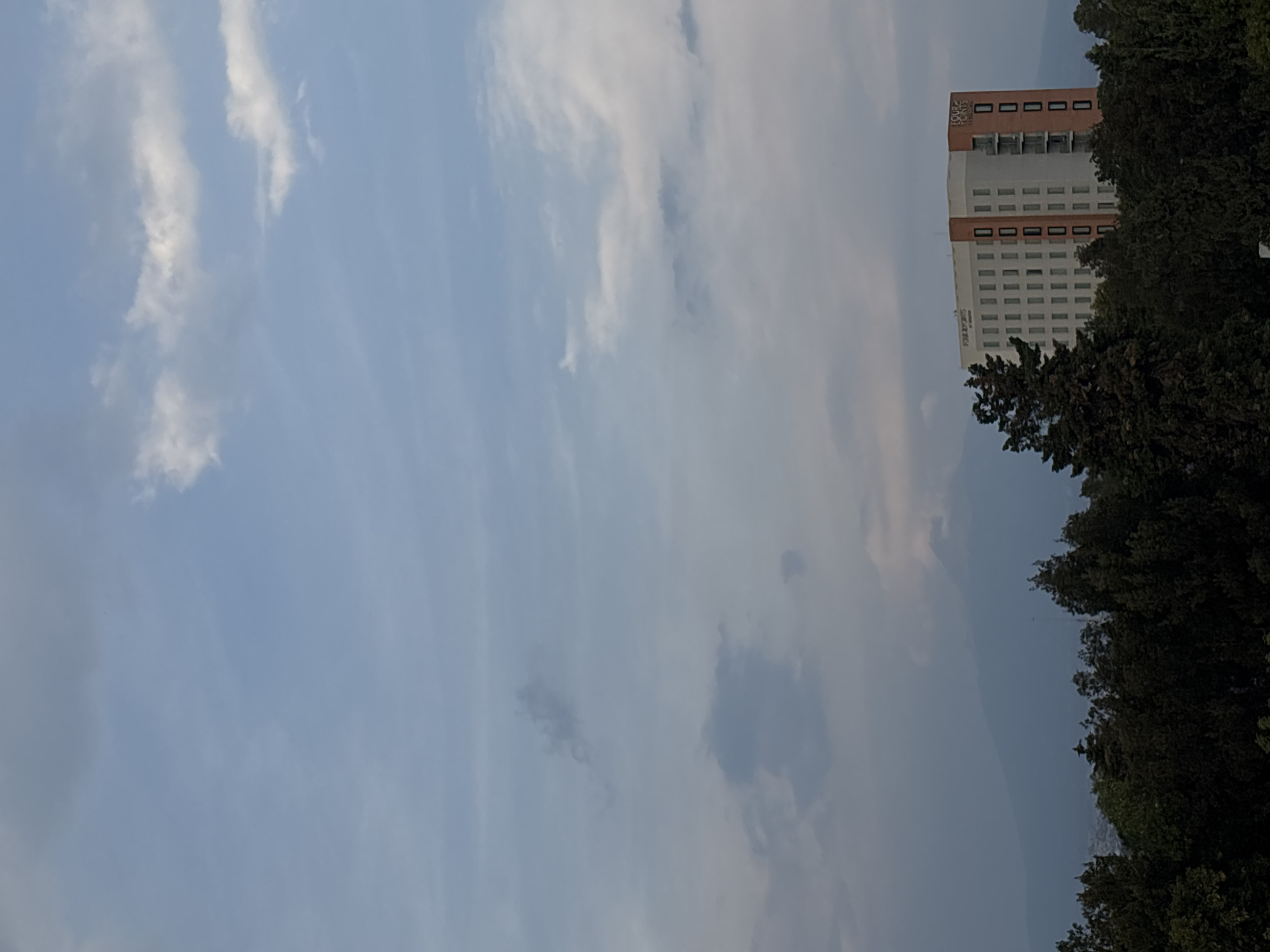 The image presents a view of a tall, light-colored building, partially obscured by dense green trees, against a cloudy sky. The building has a visible pattern of windows and balconies, with a distinct architectural design at its top. The sky is a pale blue, filled with light, wispy clouds. The overall scene suggests an urban location with a blend of natural and built environments. The building has the name "SOLDE PUEBLA" written vertically along its facade. Therefore, the location is the city of Puebla, Mexico.