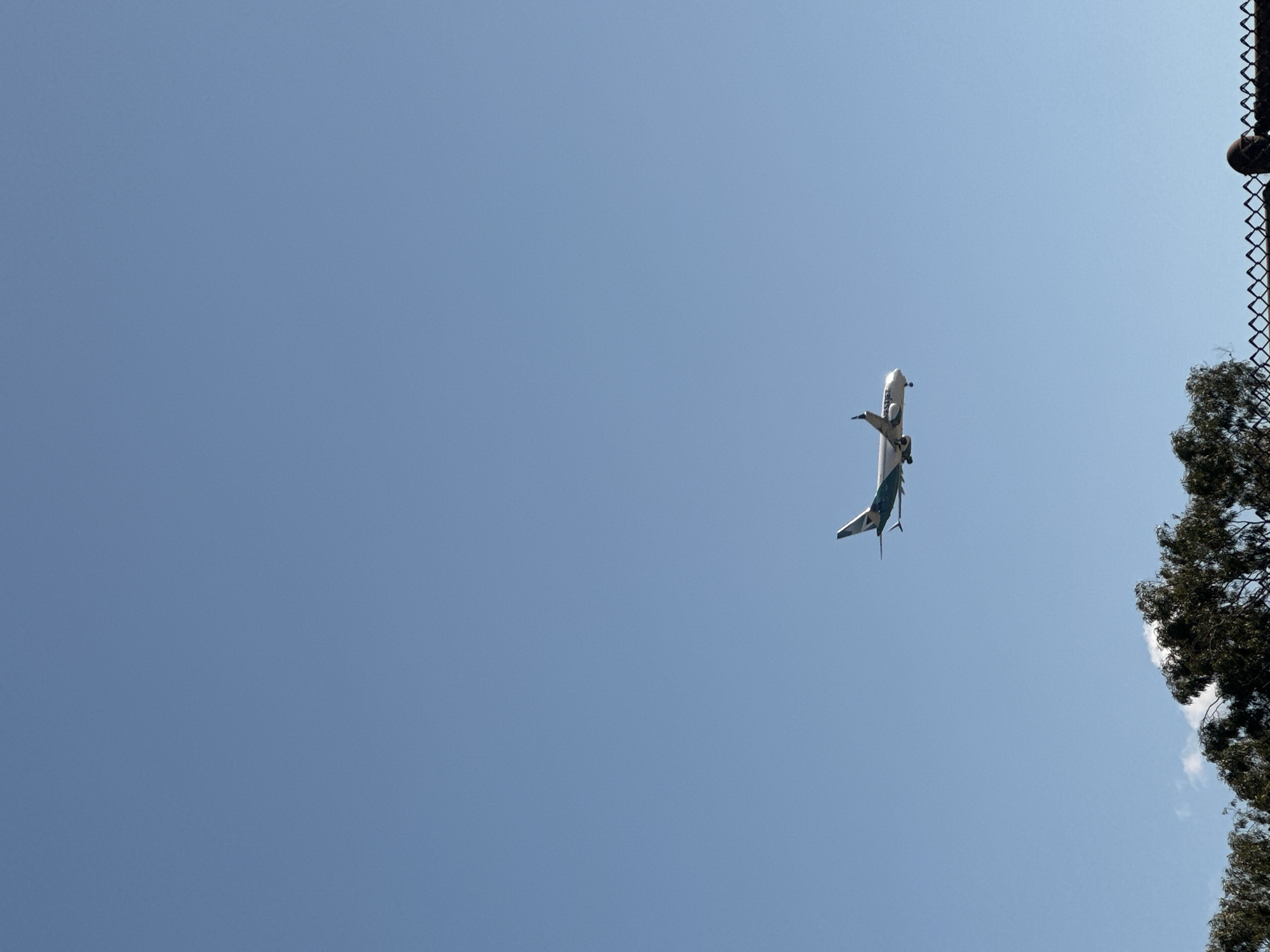 An airplane is flying in the sky. A fence and tree are on the side. The city and state are unknown.