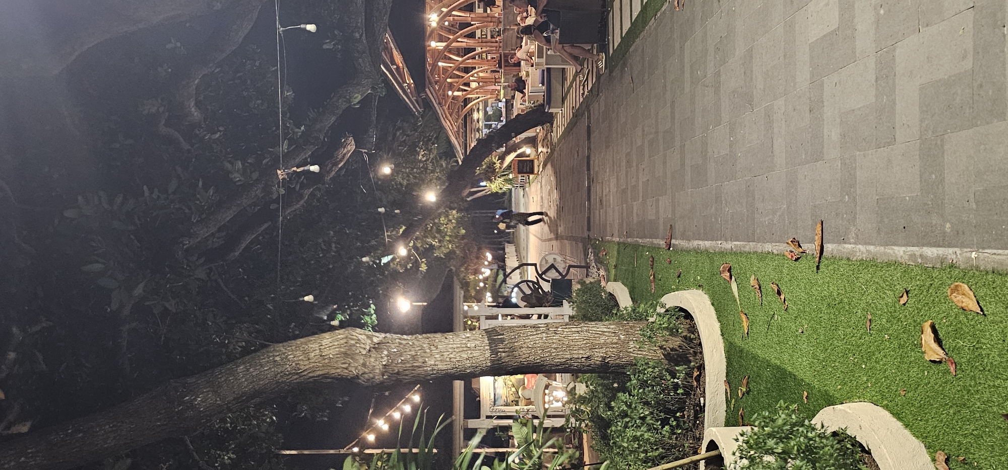At night, the image shows an outdoor space in Denpasar, Indonesia, likely a restaurant or cafe, with trees illuminated by string lights. People are seated at tables inside a bamboo structure, while others are walking along a stone pathway. A large tree trunk stretches horizontally across the lower half of the image, with greenery and flowers in planters beneath it. Artificial turf with scattered leaves lines the pathway.