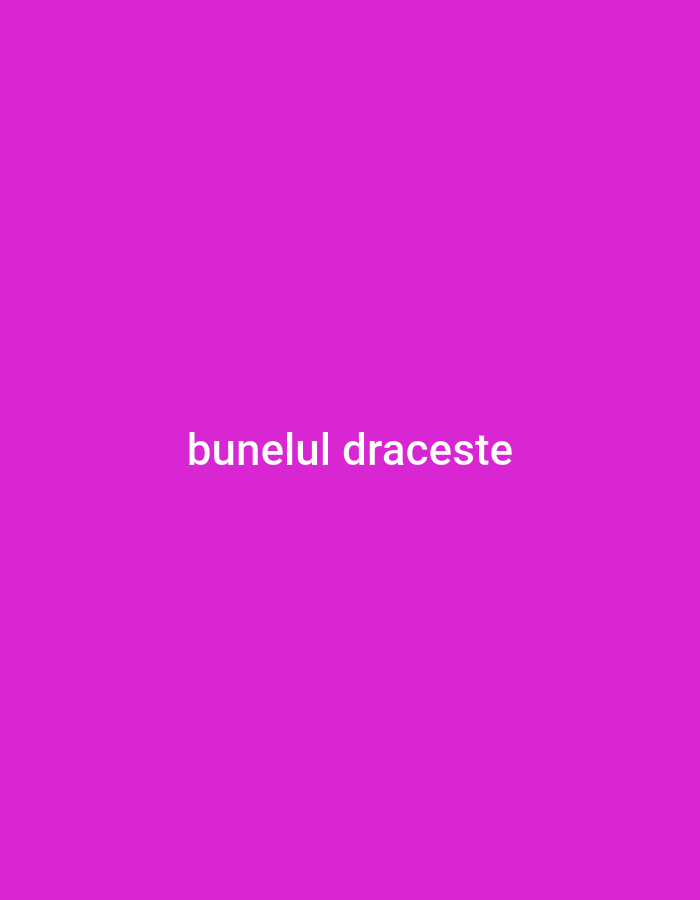The image is a plain purple background with white text in the center that reads "bunelul draceste". There are no people, objects, actions, or interactions depicted. The image is entirely abstract and contains no discernible geographical features.