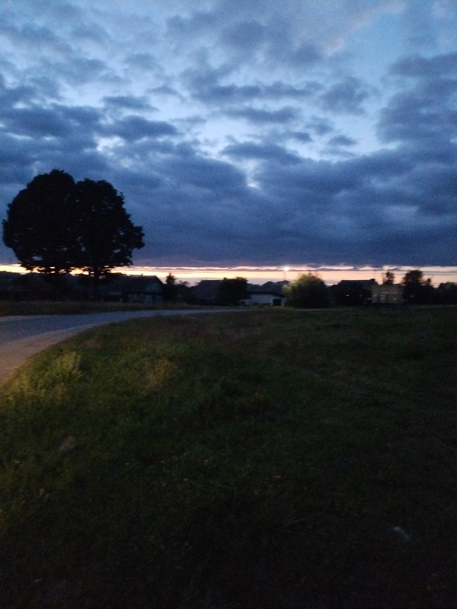 An outdoor, low-angle, full shot captures a rural landscape at dusk. The sky is filled with dark, heavy clouds that occupy the upper half of the frame, with a sliver of pale orange light visible at the horizon. In the foreground, to the left, a dark, silhouette of a large tree stands beside a curved asphalt road. The road curves away from the viewer, disappearing into the shadowed landscape. To the right of the road is a field of dark green grass, also largely in shadow. In the middle ground, a line of houses and trees stretches across the horizon, some with visible roofs. The overall impression is one of a peaceful, quiet evening in a rural setting.